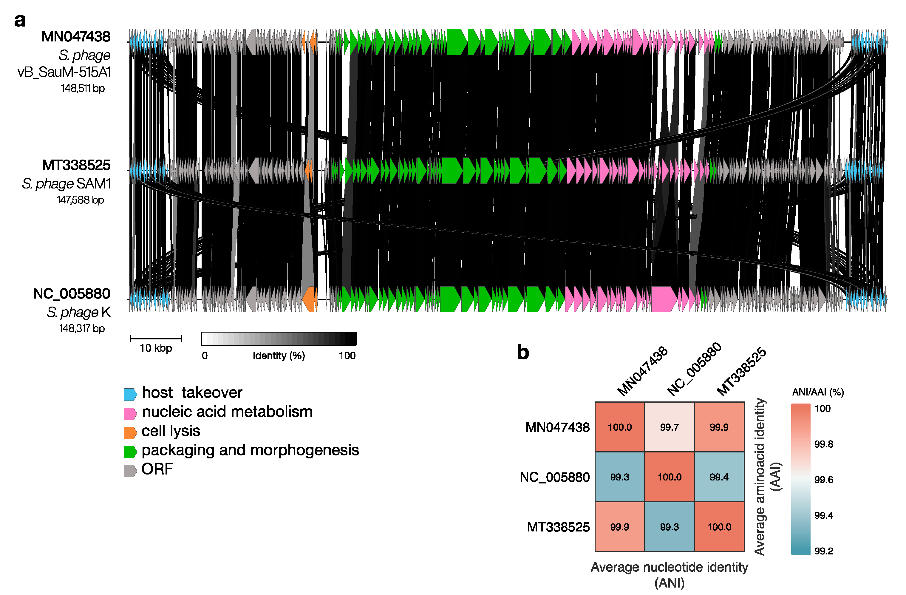 Viruses 15 01427 g002