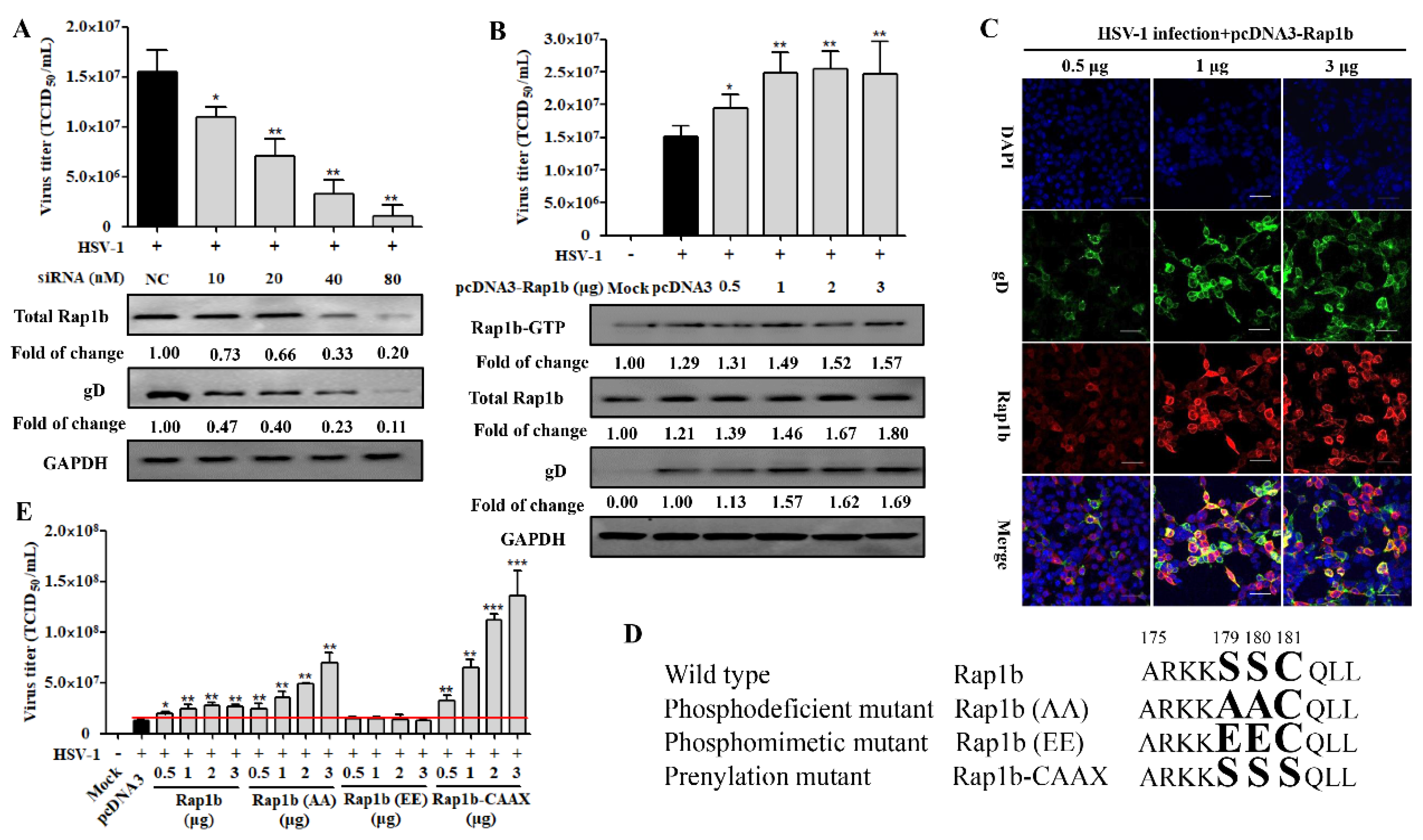 Viruses 15 01457 g002 Viruses 15 01457 g002