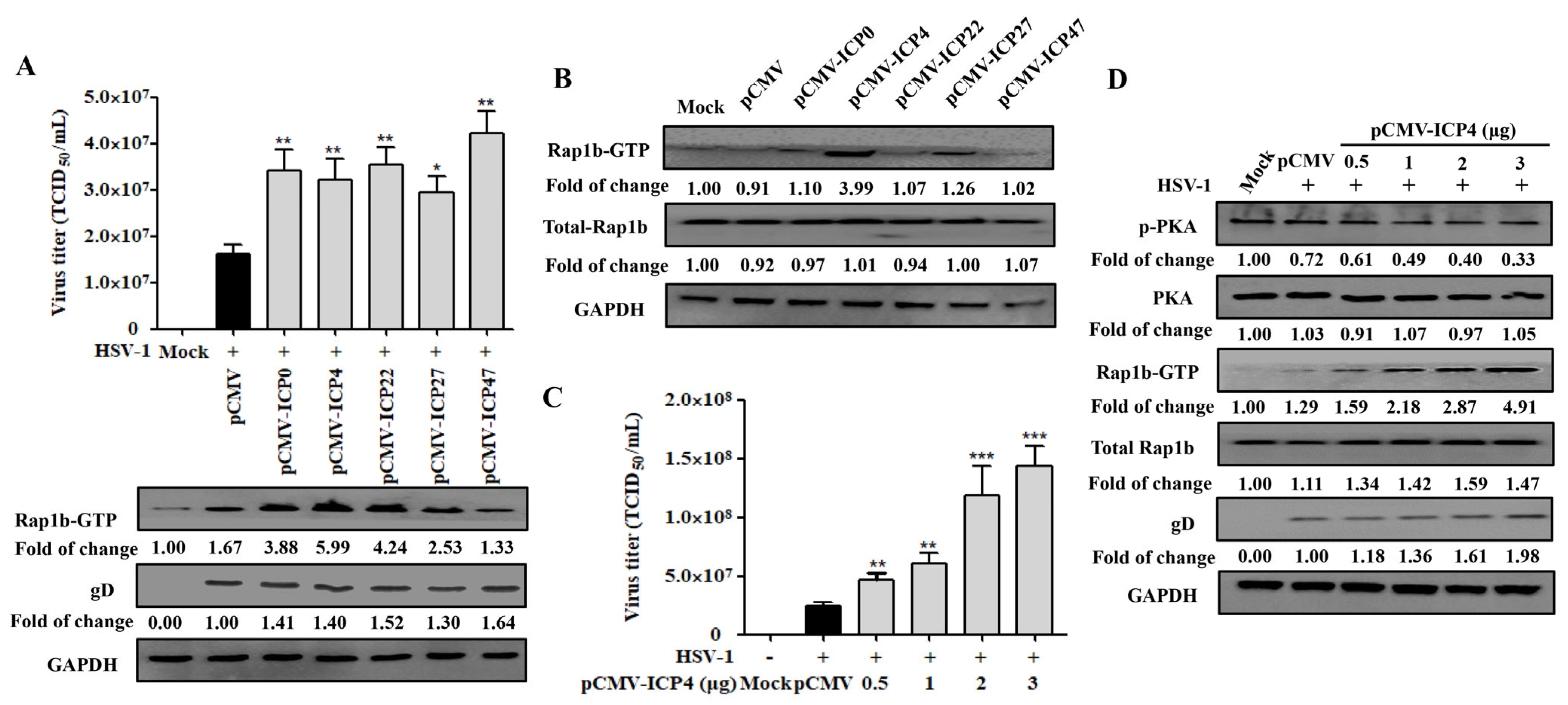 Viruses 15 01457 g004 Viruses 15 01457 g004