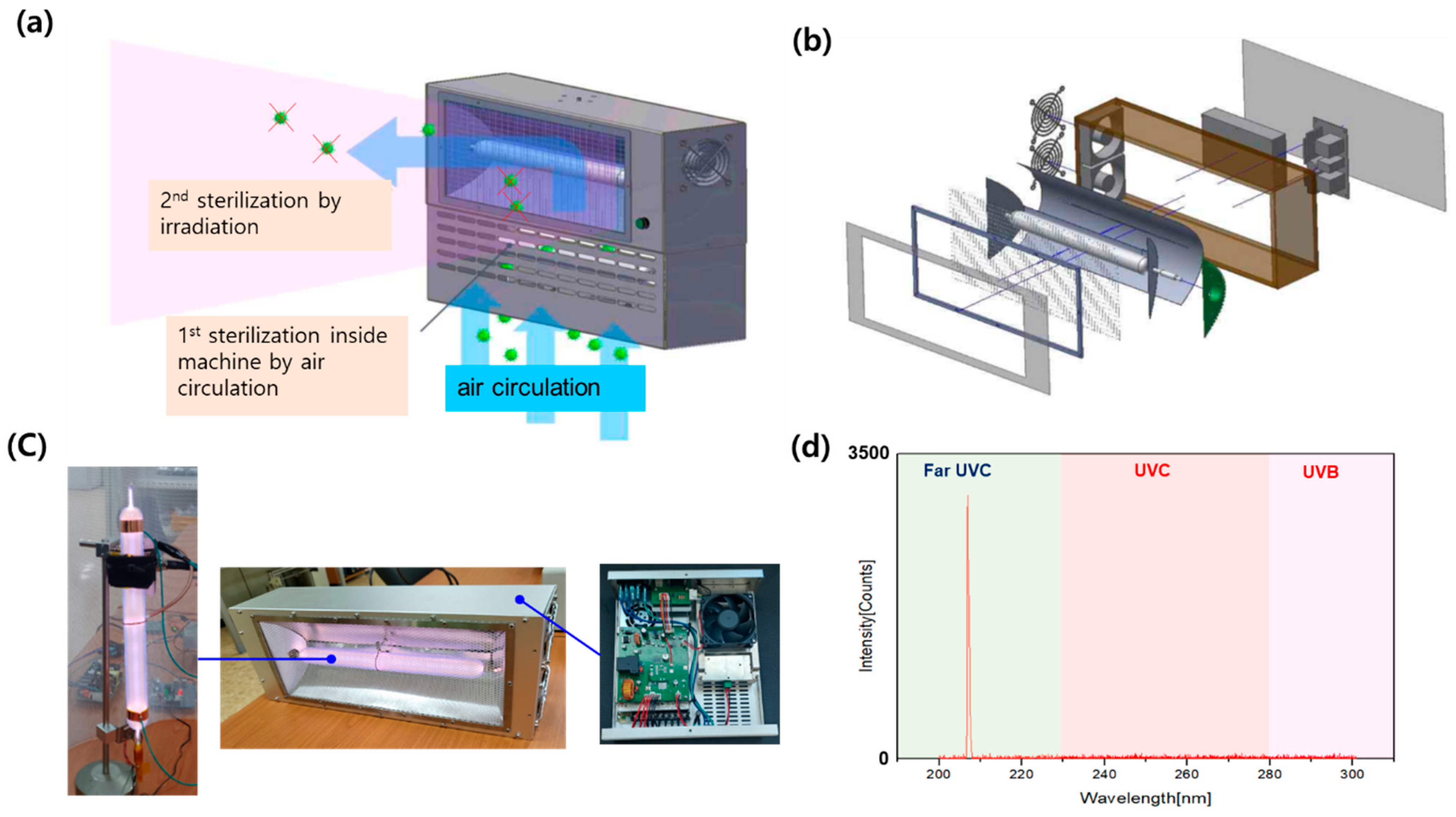 Viruses 15 01463 g002