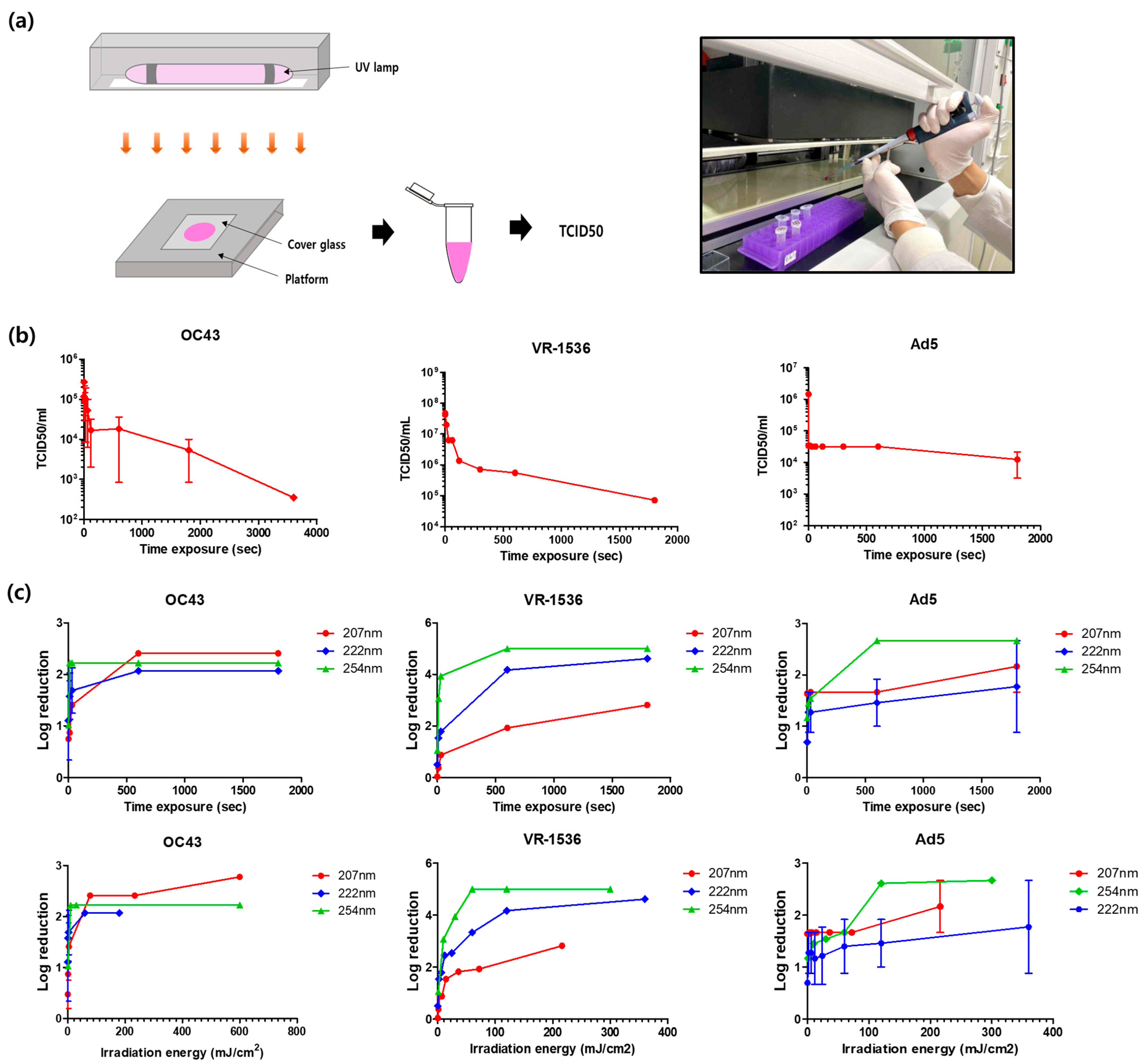 Viruses 15 01463 g004