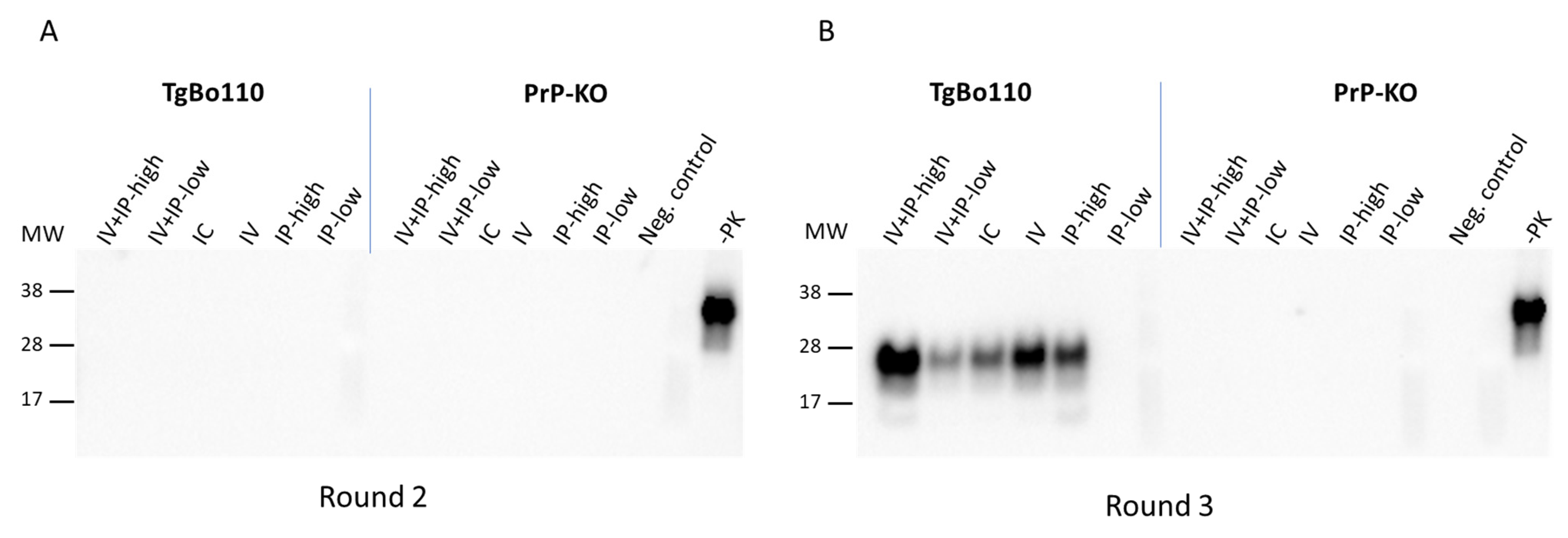 viruses-free-full-text-kinetics-of-abnormal-prion-protein-in-blood