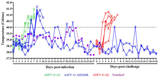 Viruses Free Full Text Deletion Of The H240r Gene In African Swine Fever Virus Partially