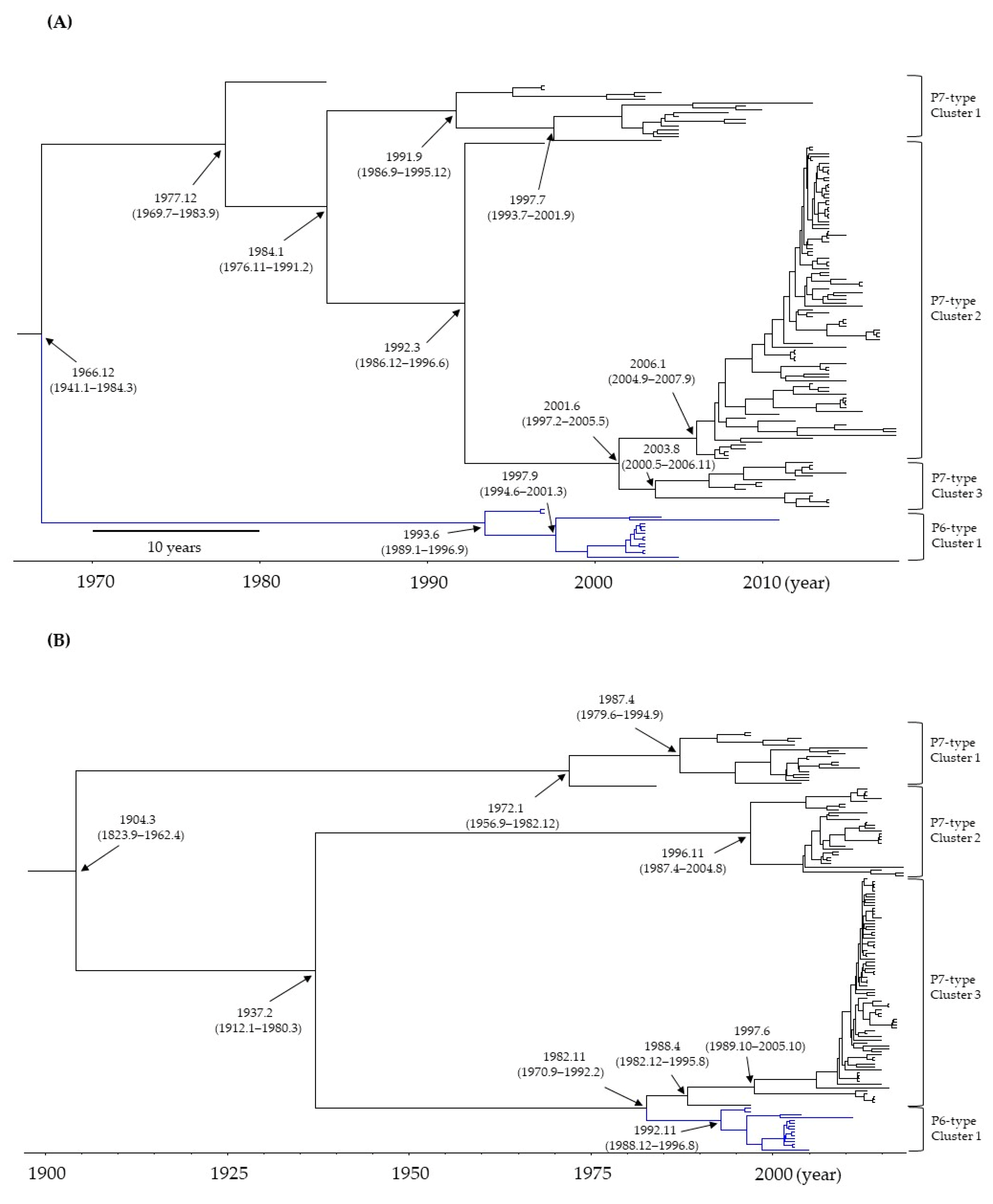 Viruses 15 01497 g001