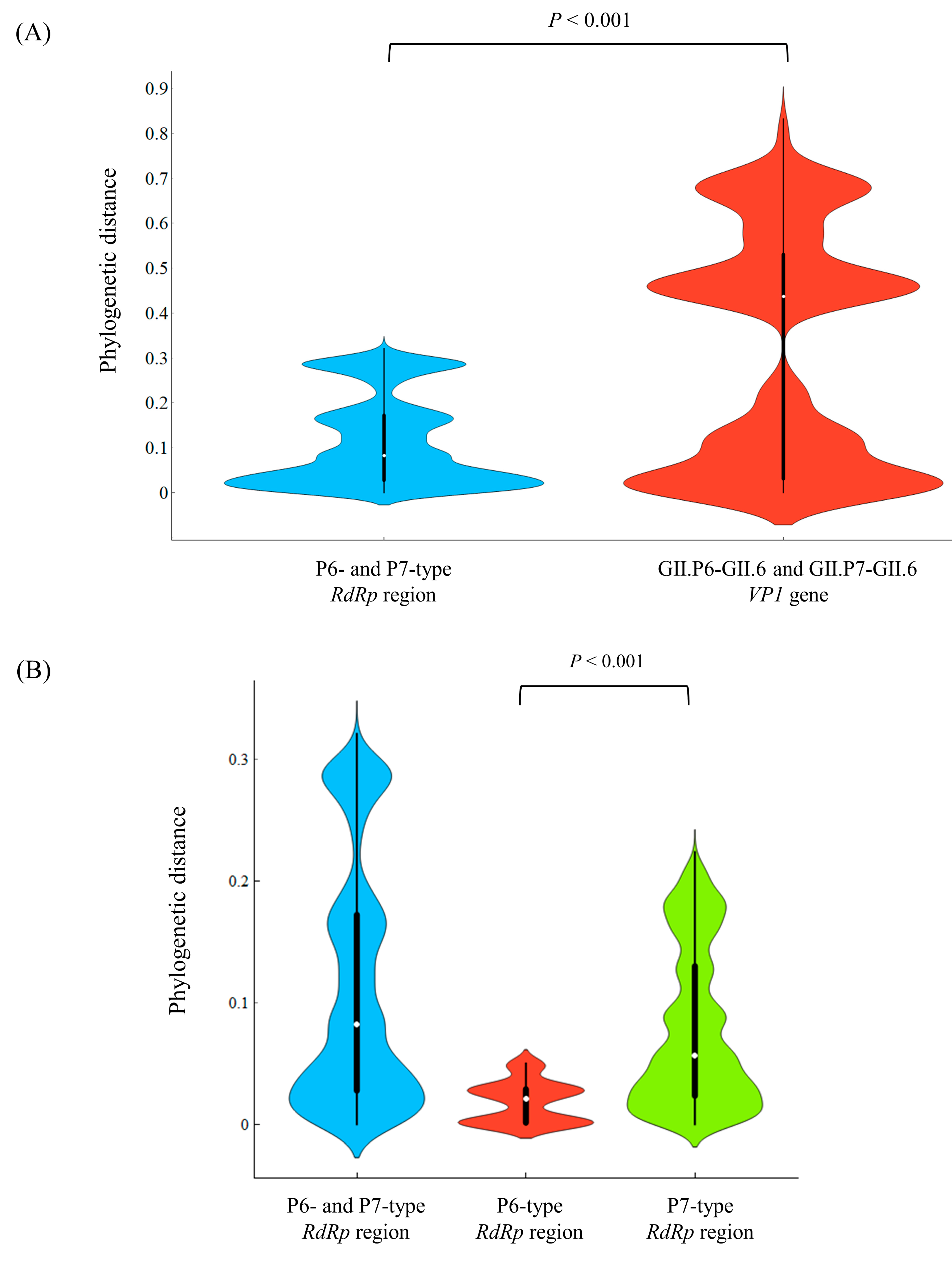 Viruses 15 01497 g002a
