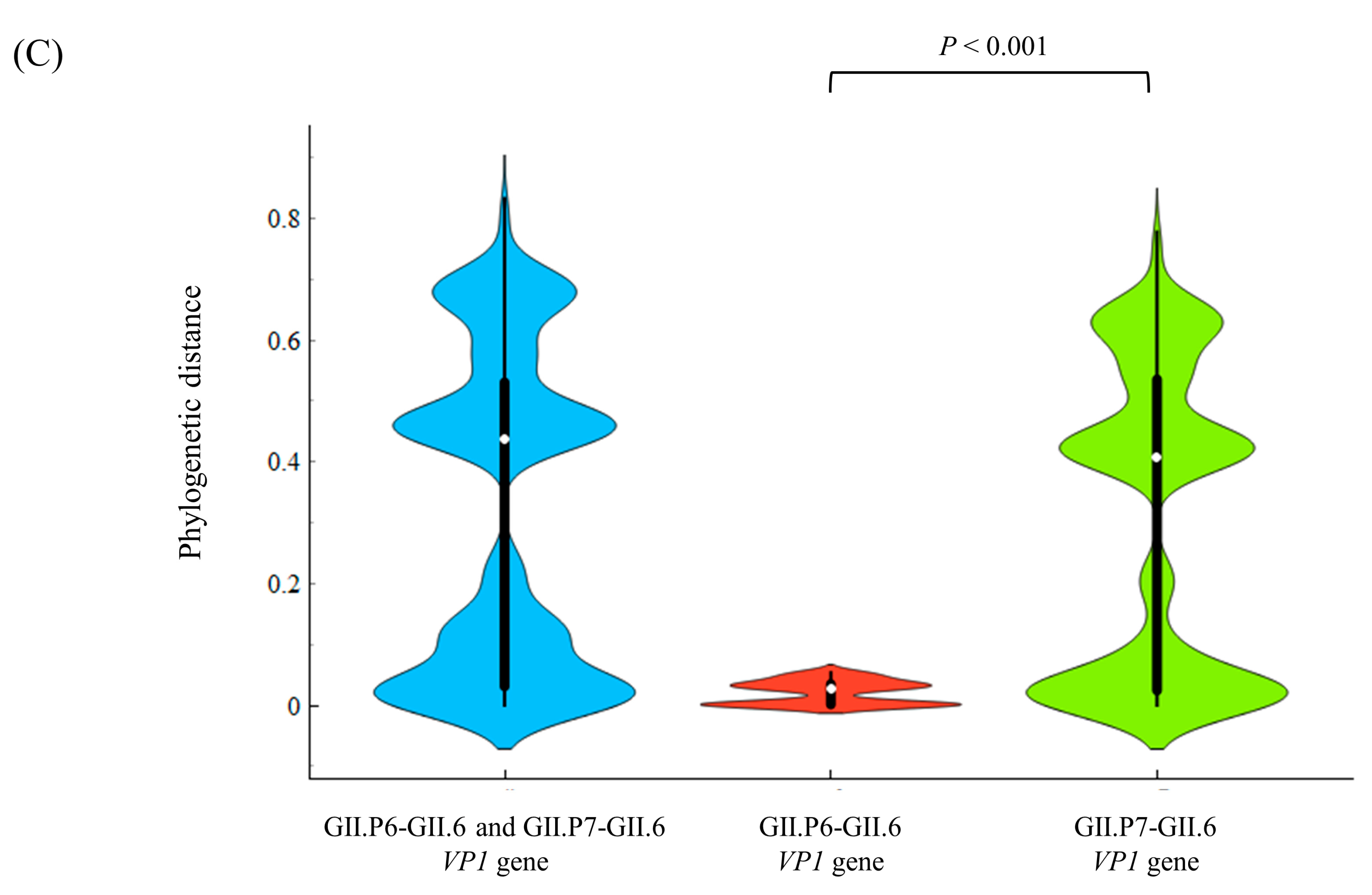 Viruses 15 01497 g002b