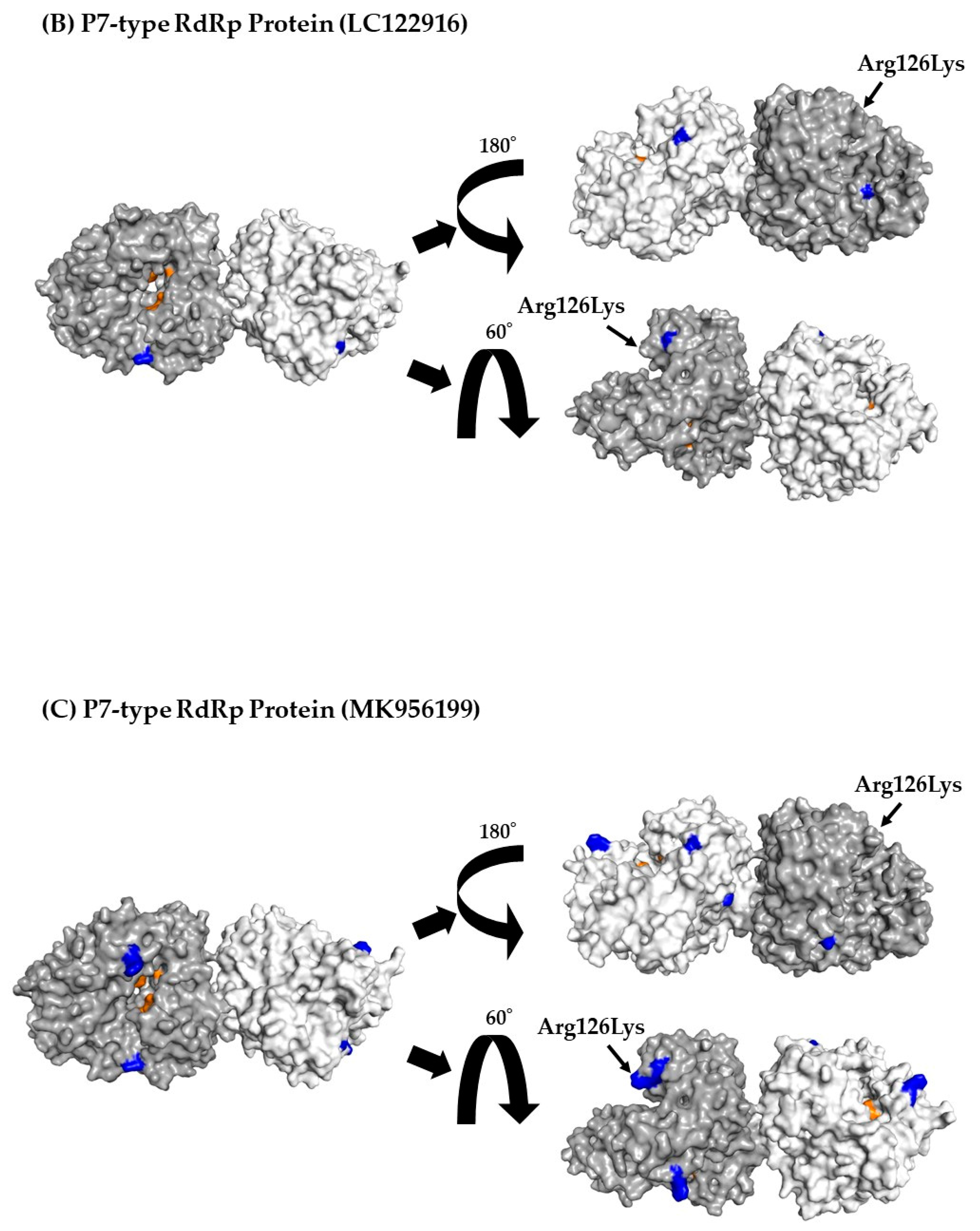 Viruses 15 01497 g004b