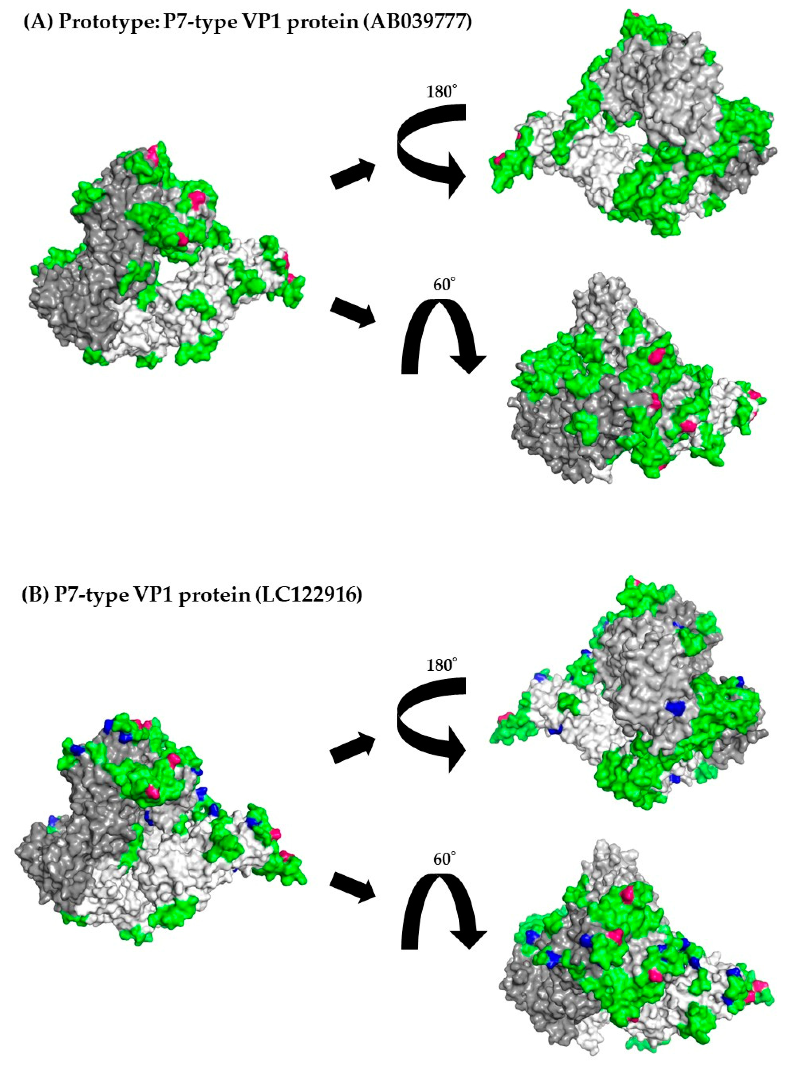 Viruses 15 01497 g005a