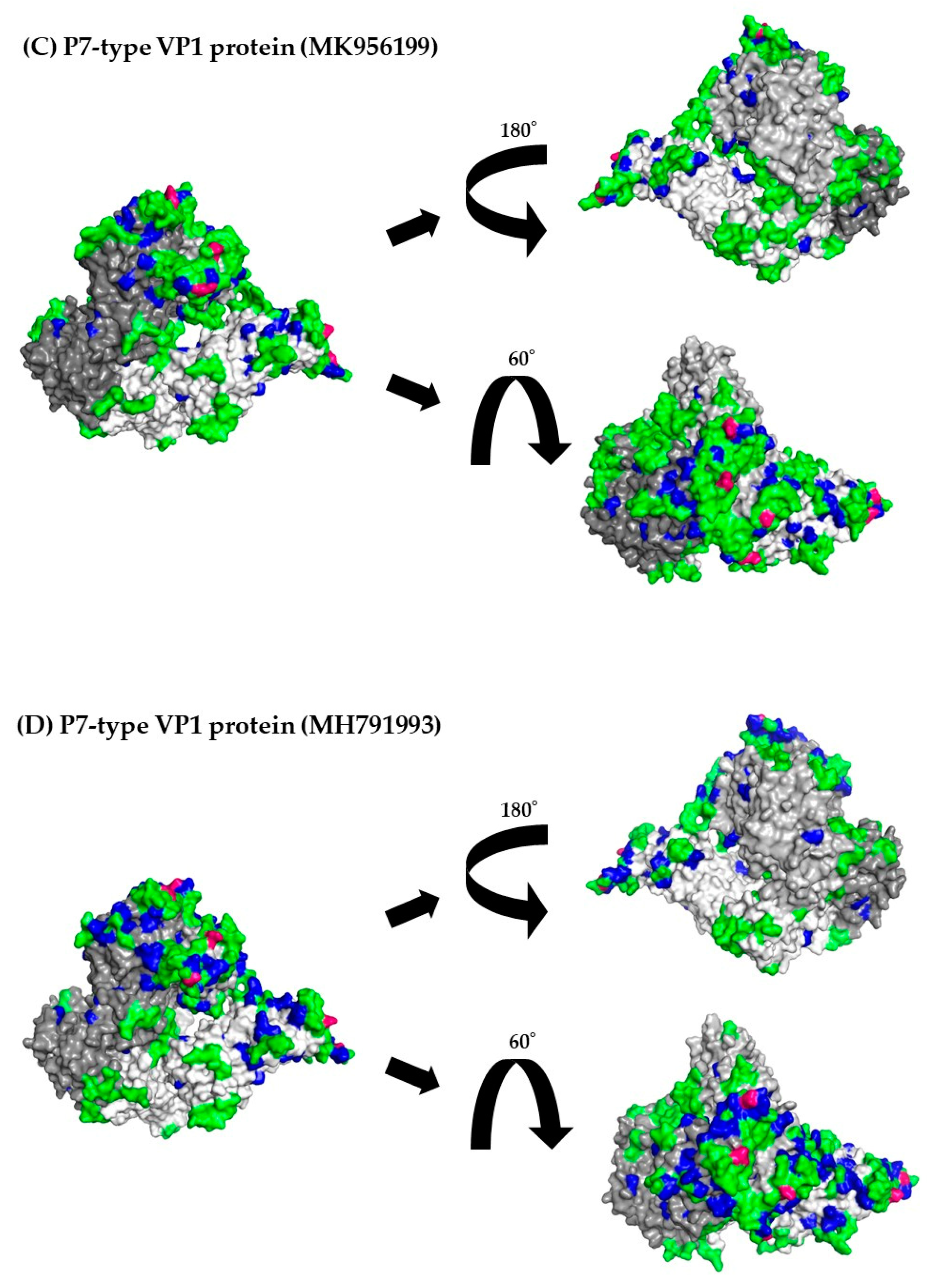 Viruses 15 01497 g005b