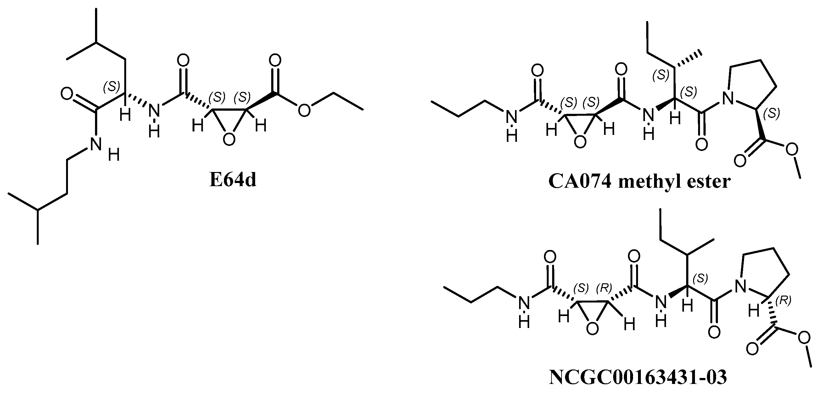 Viruses 15 01503 g001