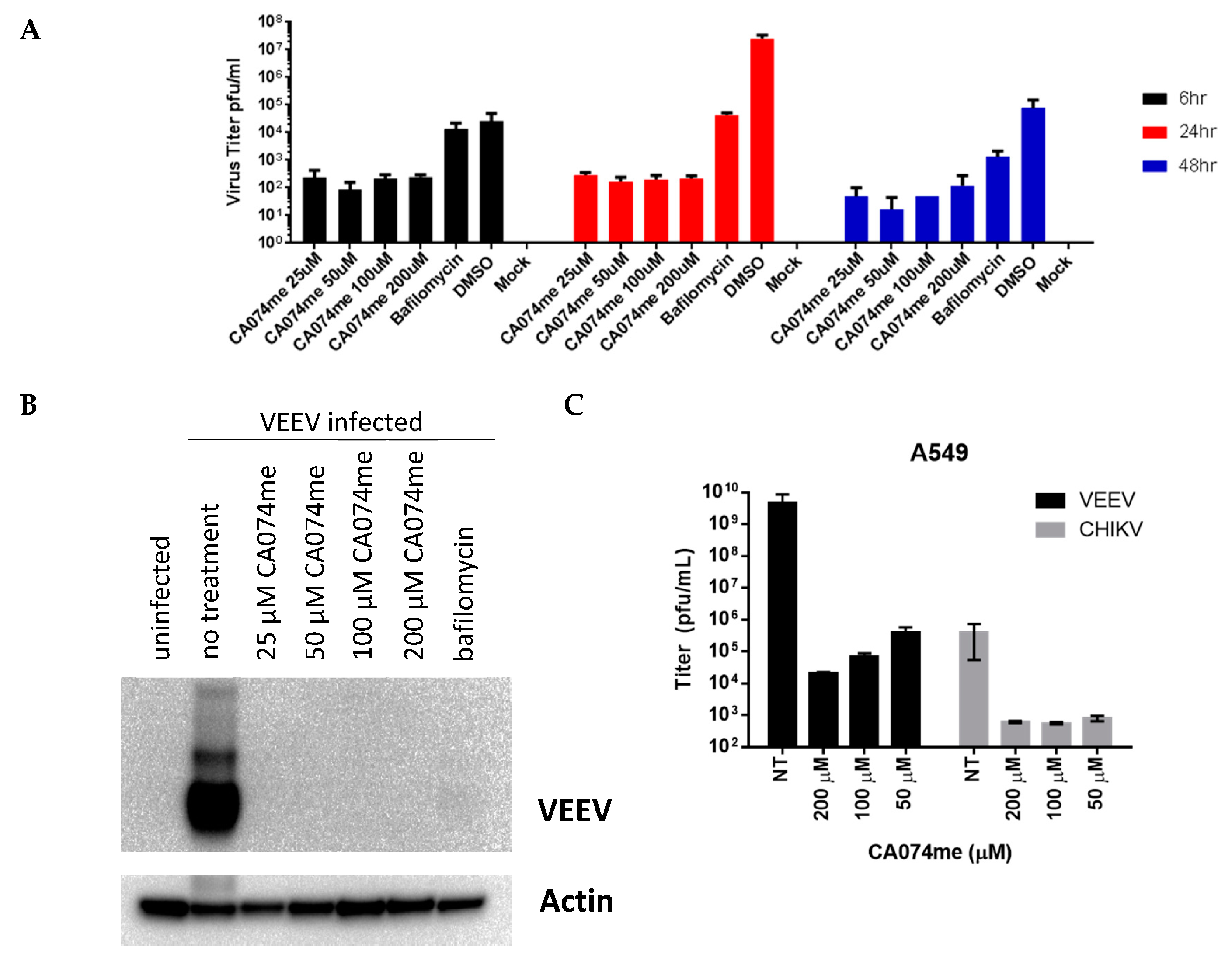 Viruses 15 01503 g002