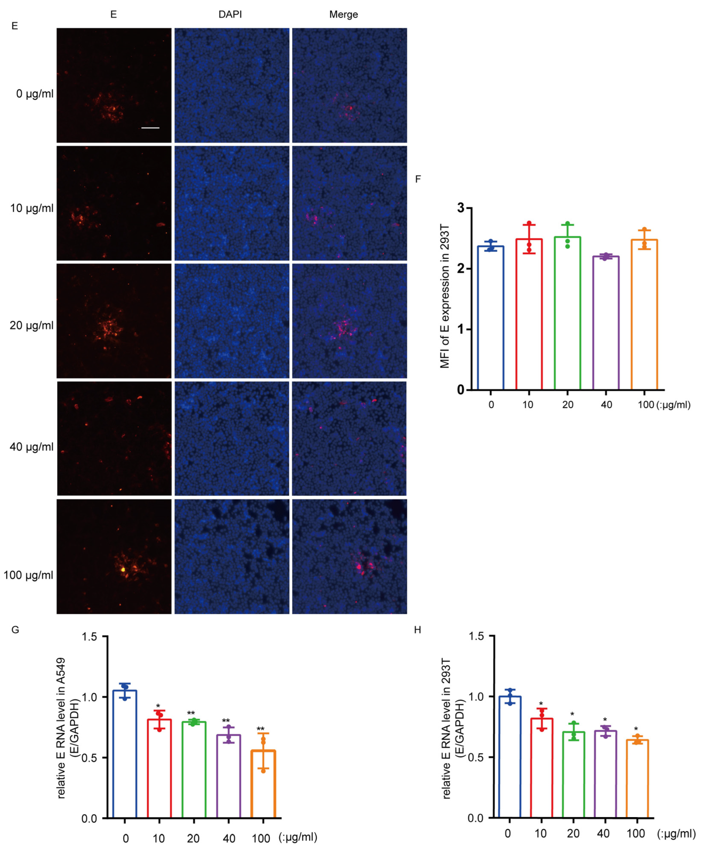 Viruses 15 01589 g004b Viruses 15 01589 g004b