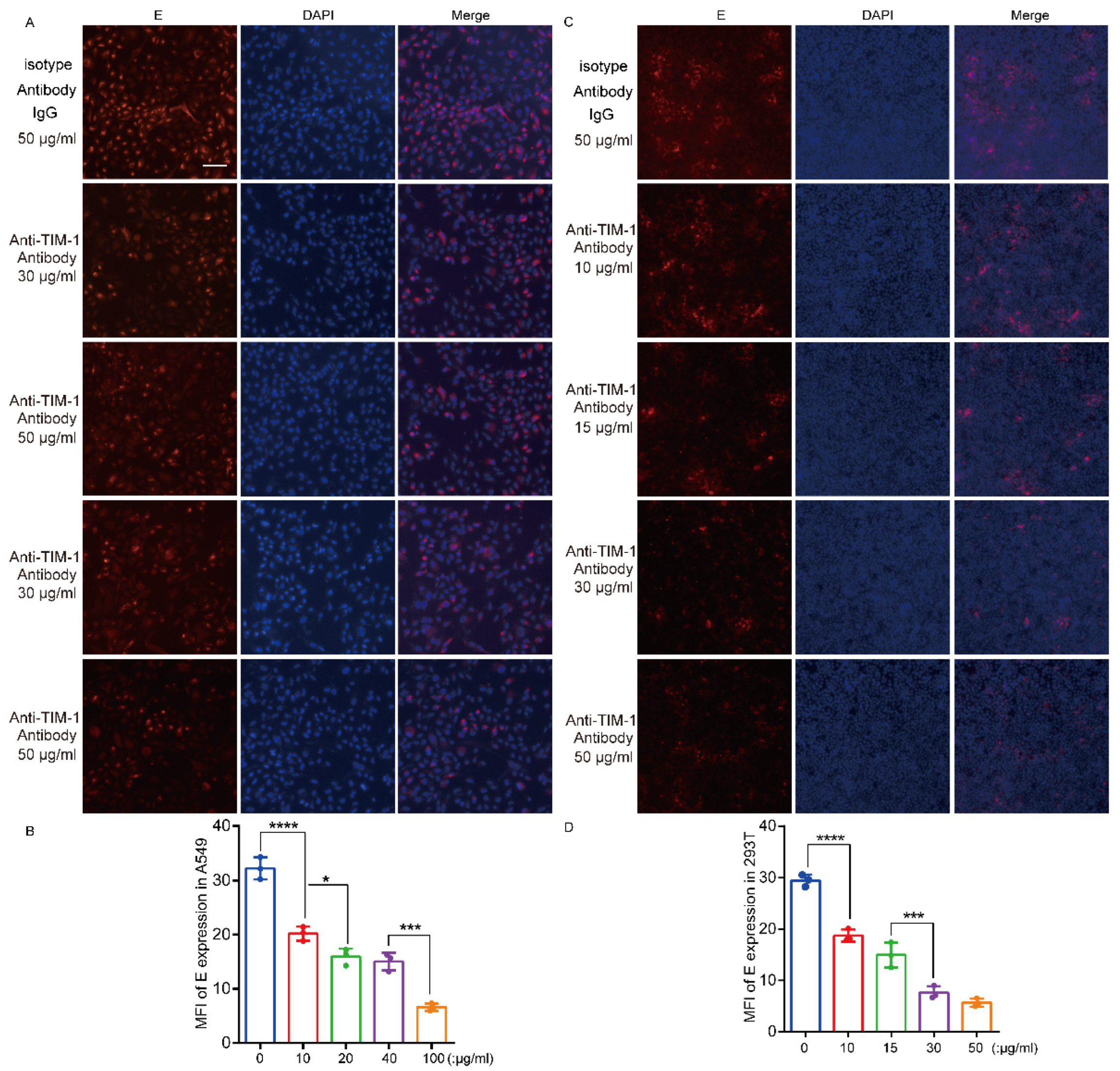 Viruses 15 01589 g005a Viruses 15 01589 g005a