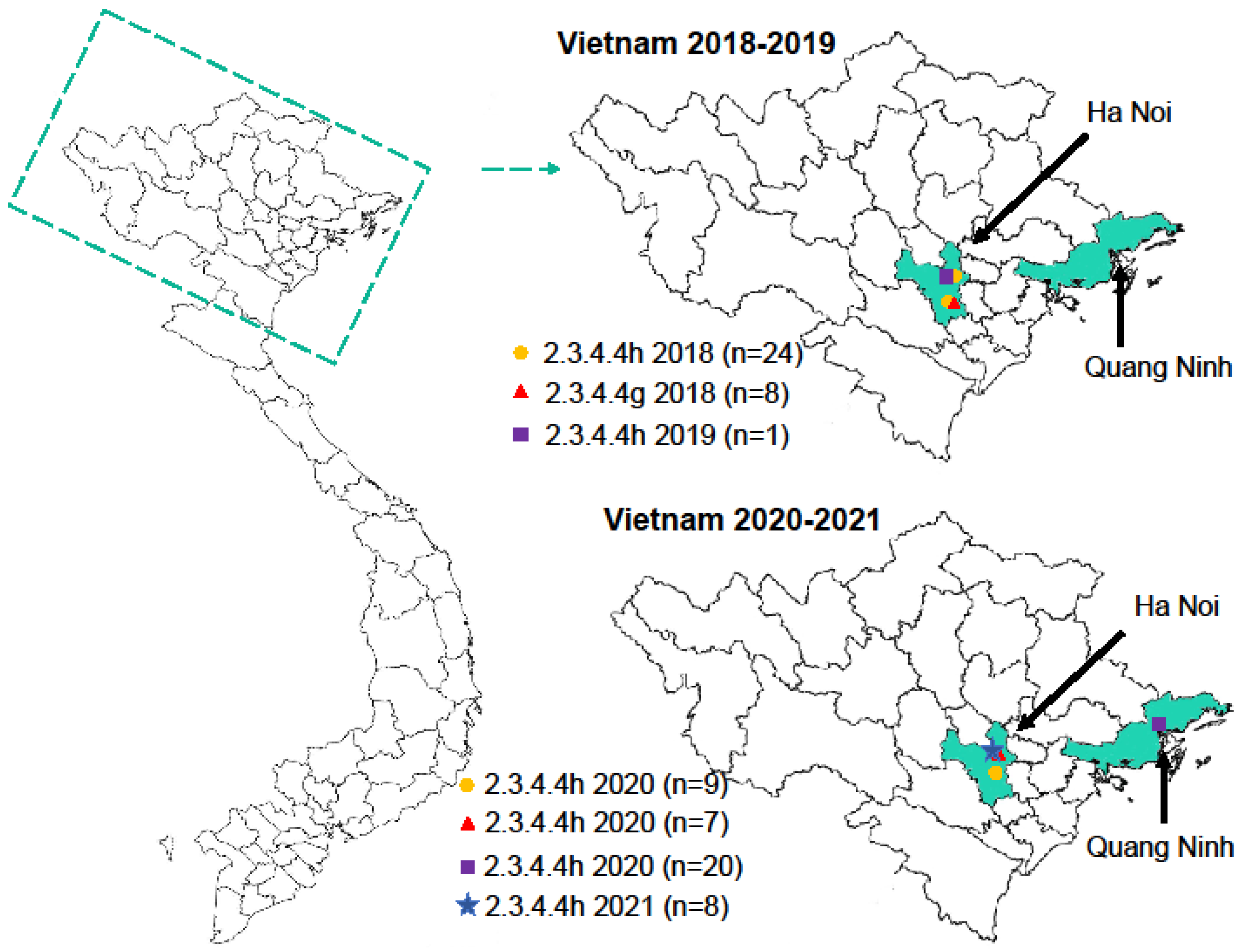 Viruses | Free Full-Text | Continued Circulation of Highly Pathogenic H5  Influenza Viruses in Vietnamese Live Bird Markets in 2018u0026ndash;2021
