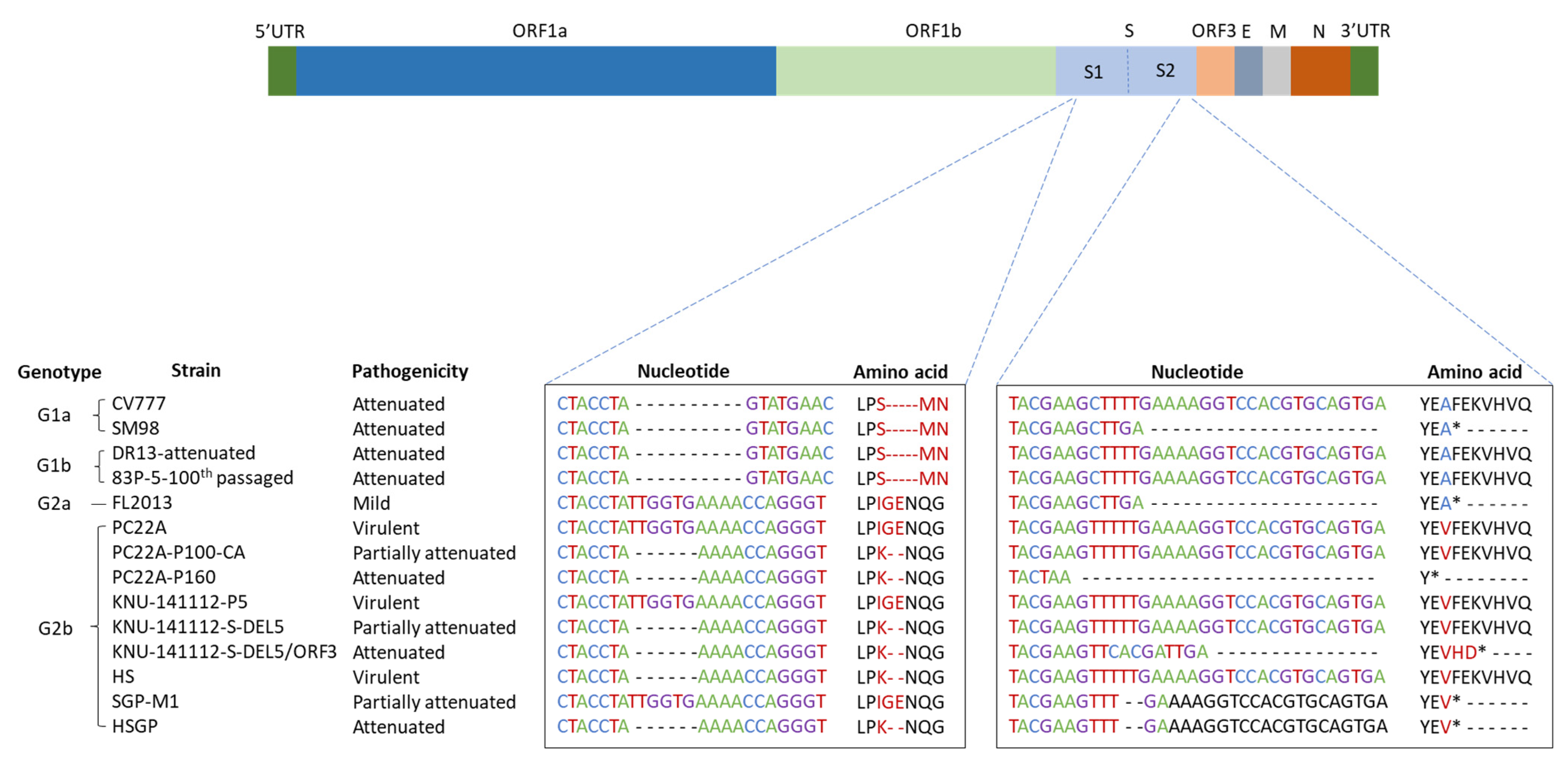 Viruses 15 01601 g001 Viruses 15 01601 g001