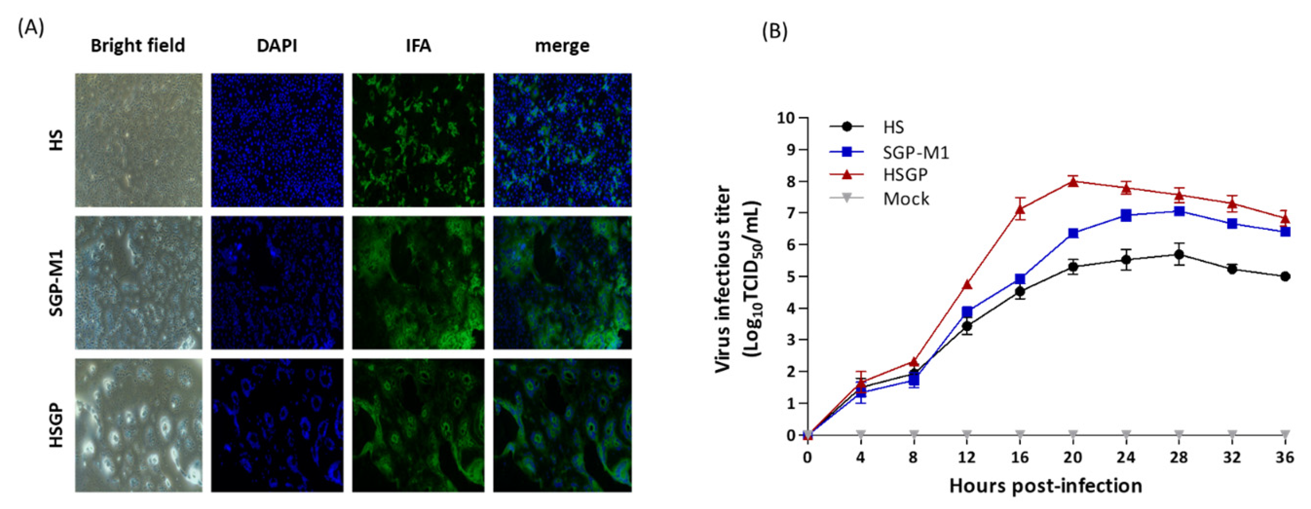 Viruses 15 01601 g003 Viruses 15 01601 g003