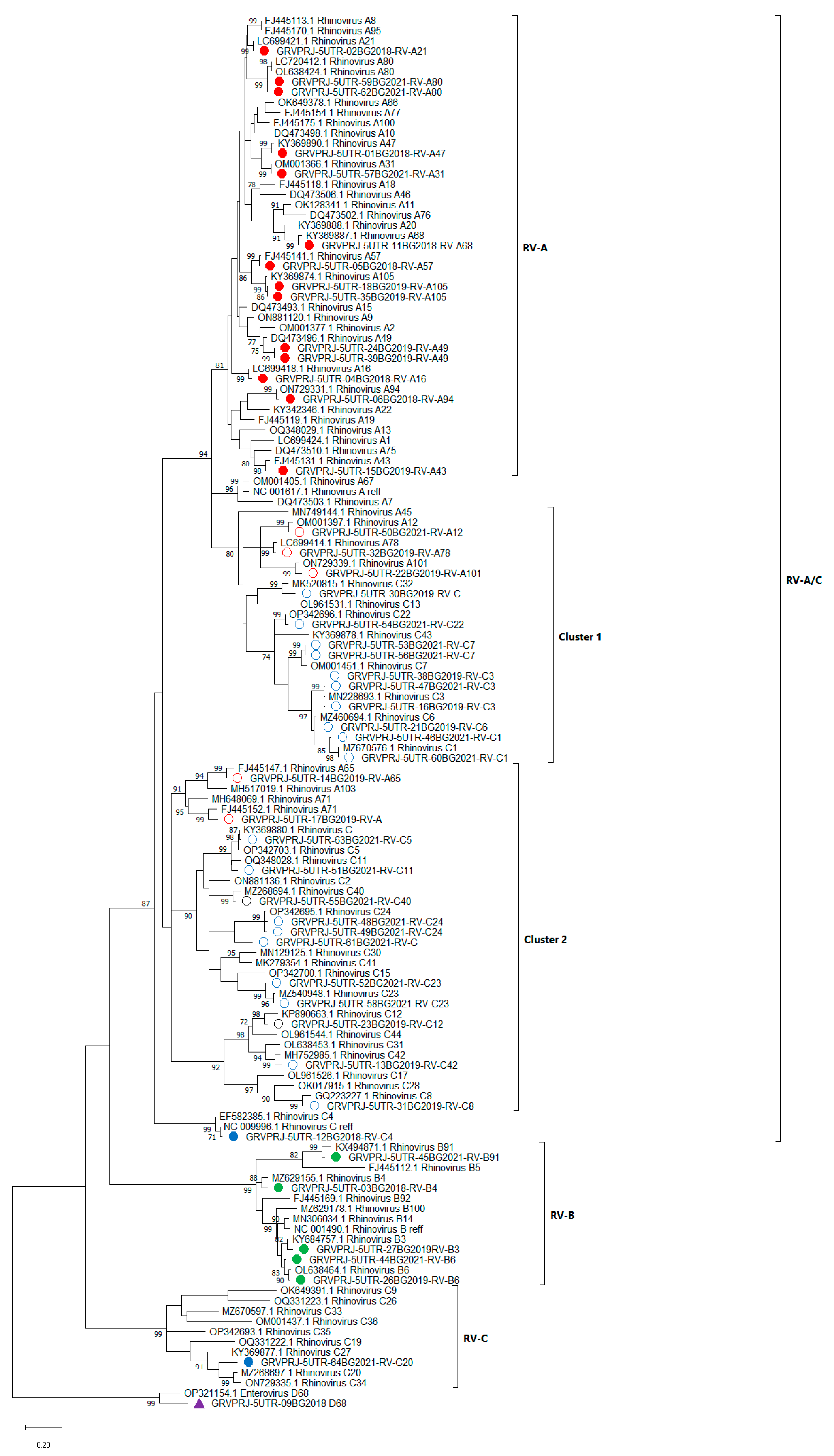 Viruses 15 01608 g001