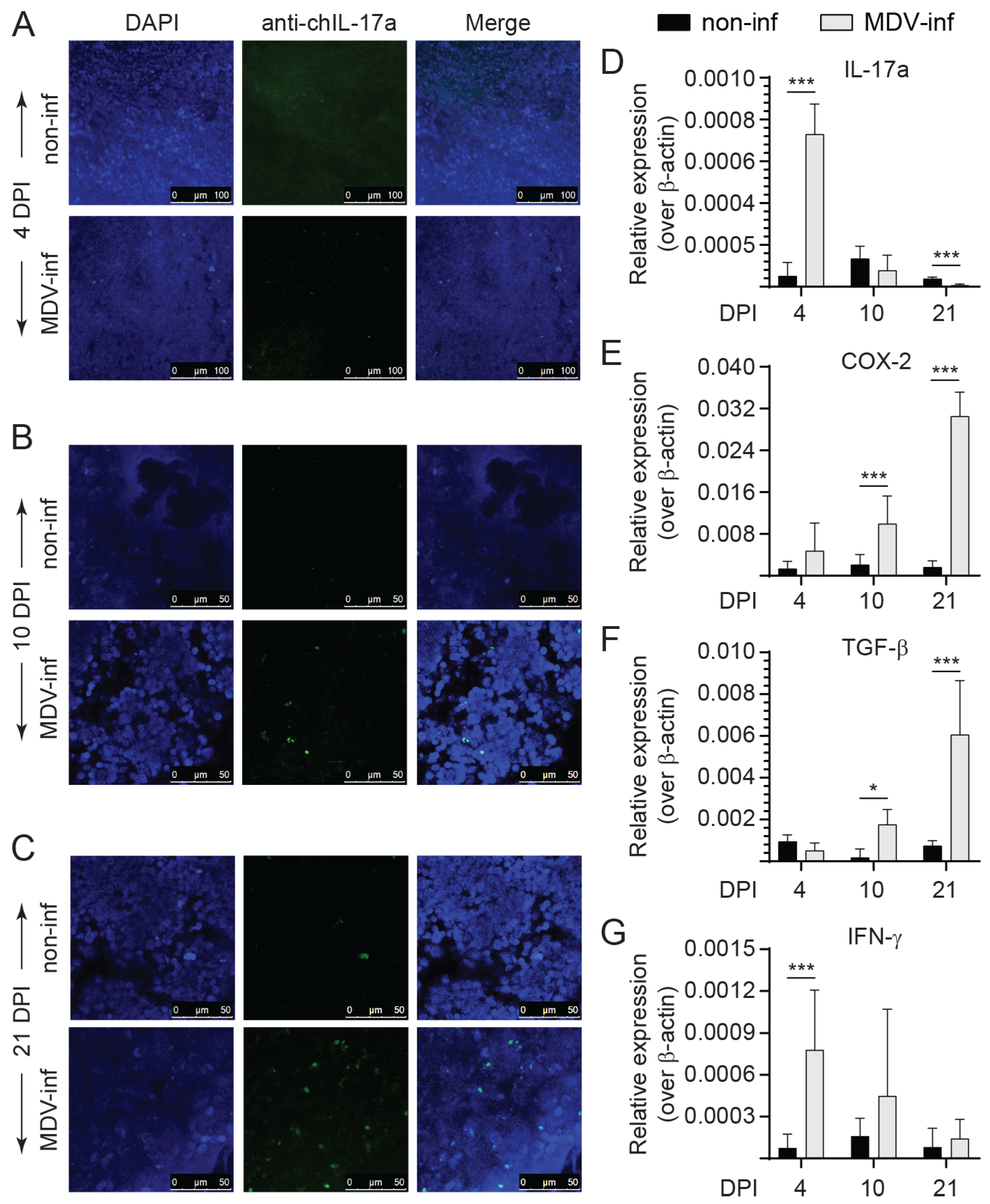 Viruses 15 01633 g001