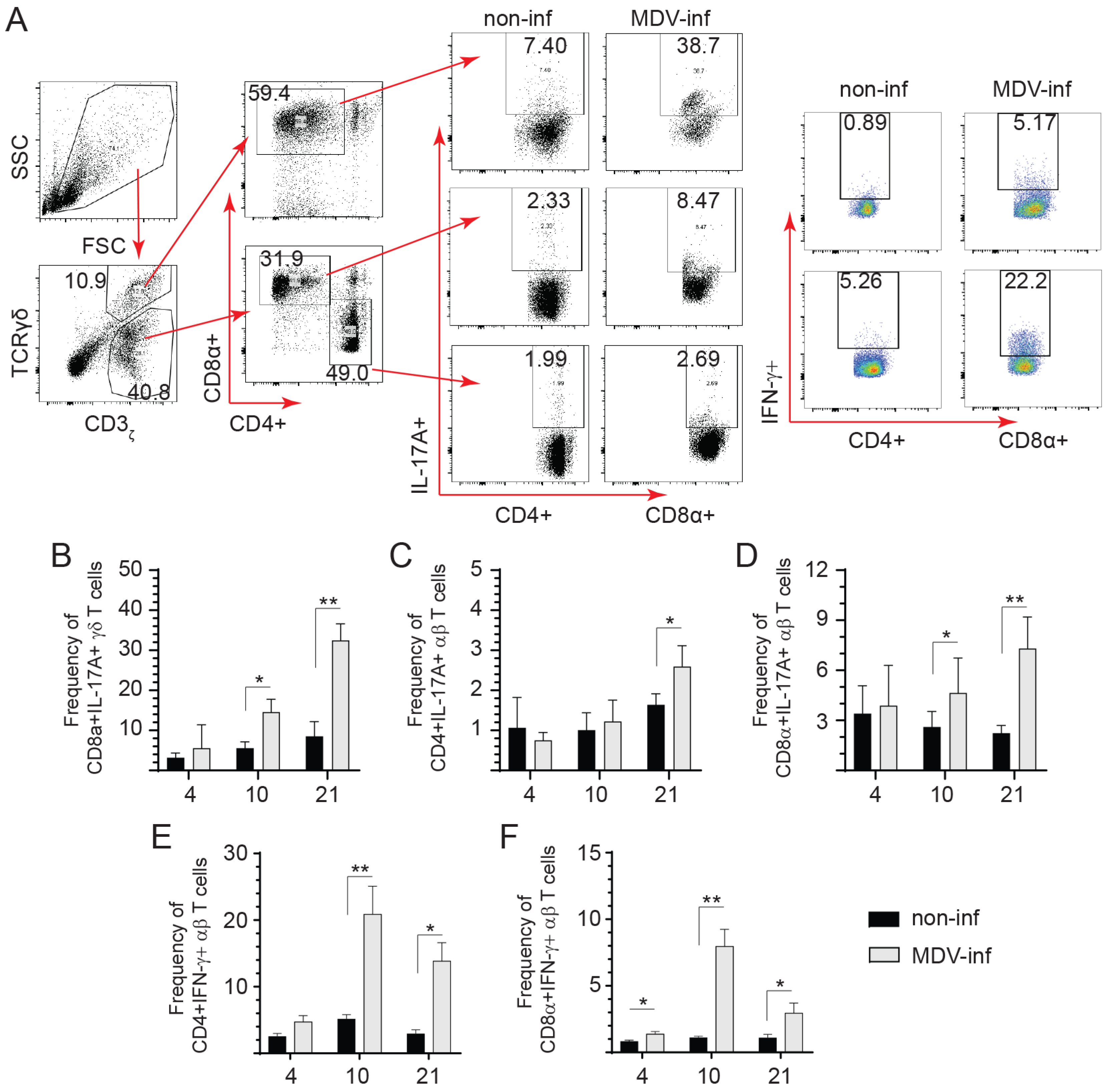 Viruses 15 01633 g002