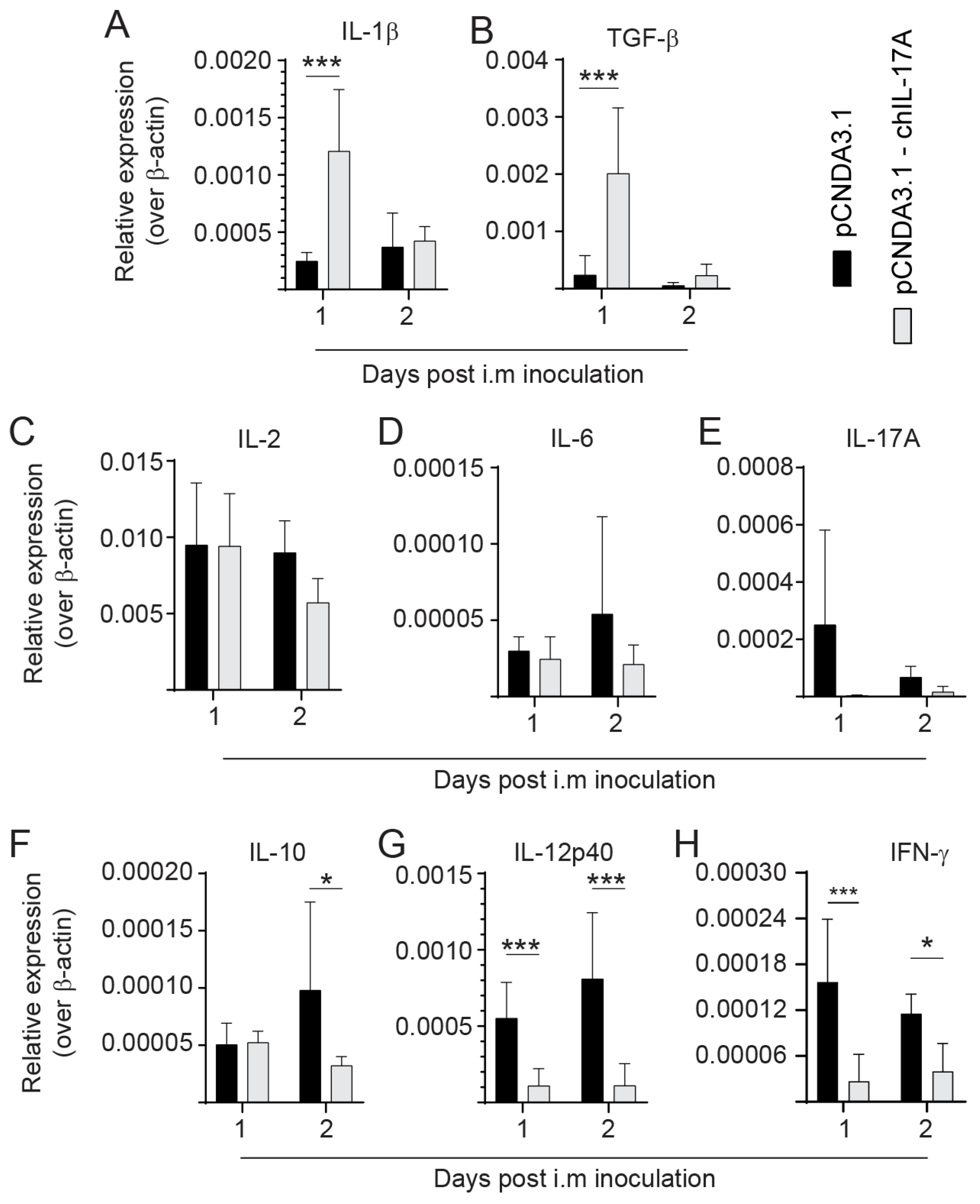 Viruses 15 01633 g005