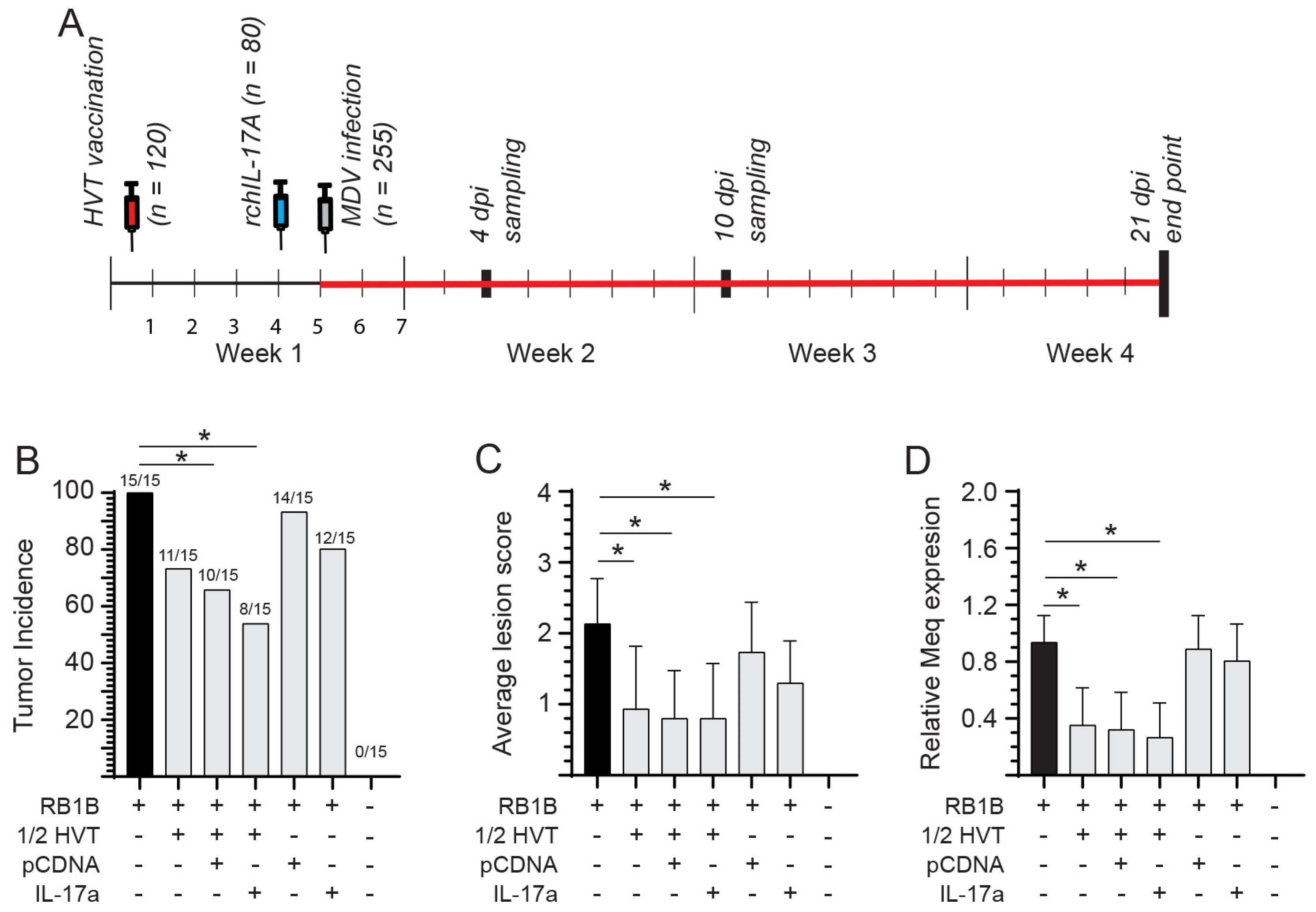 Viruses 15 01633 g006