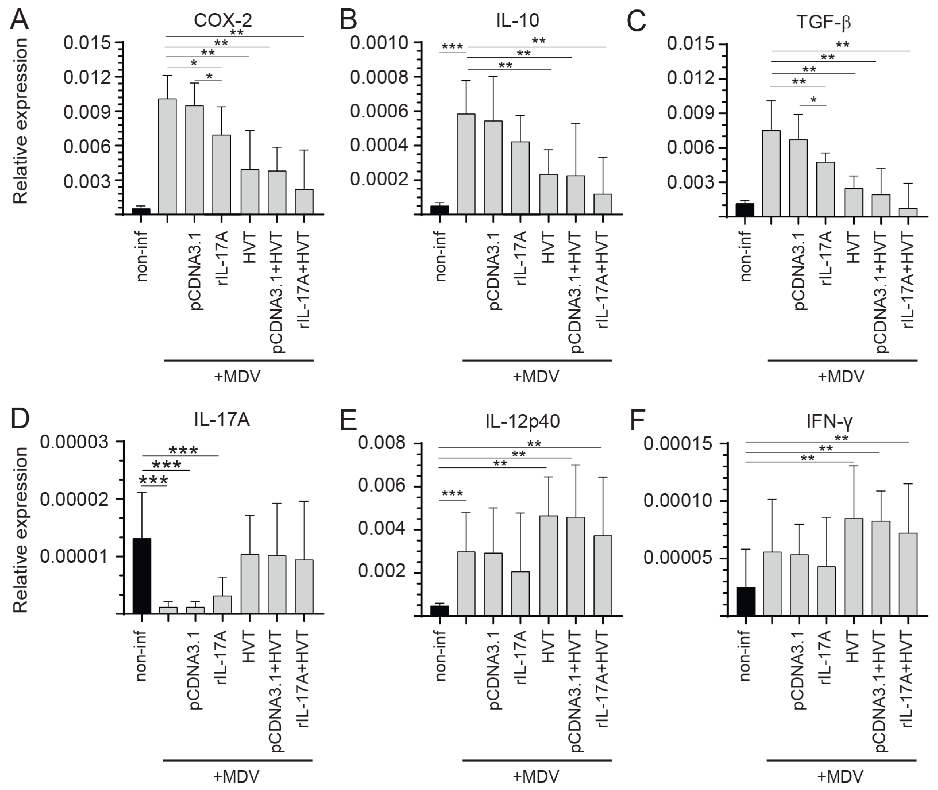Viruses 15 01633 g007