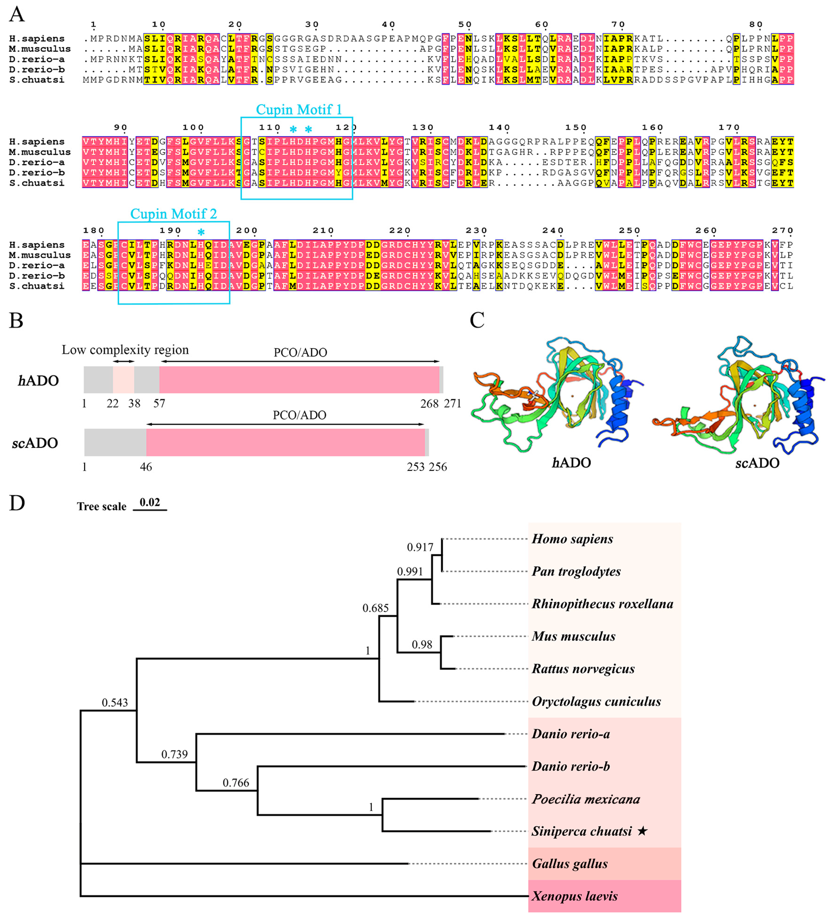 Viruses 15 01644 g001