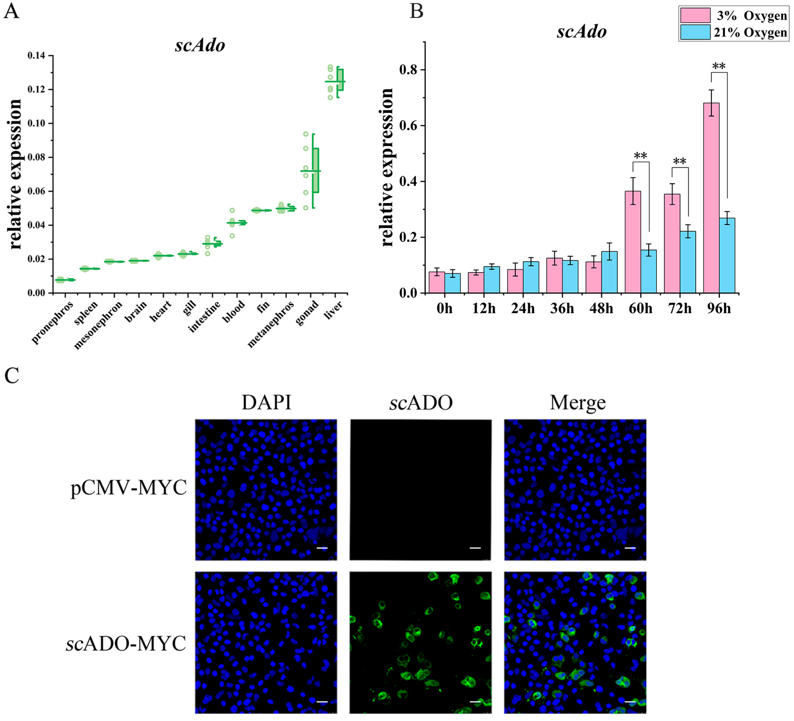 Viruses 15 01644 g002