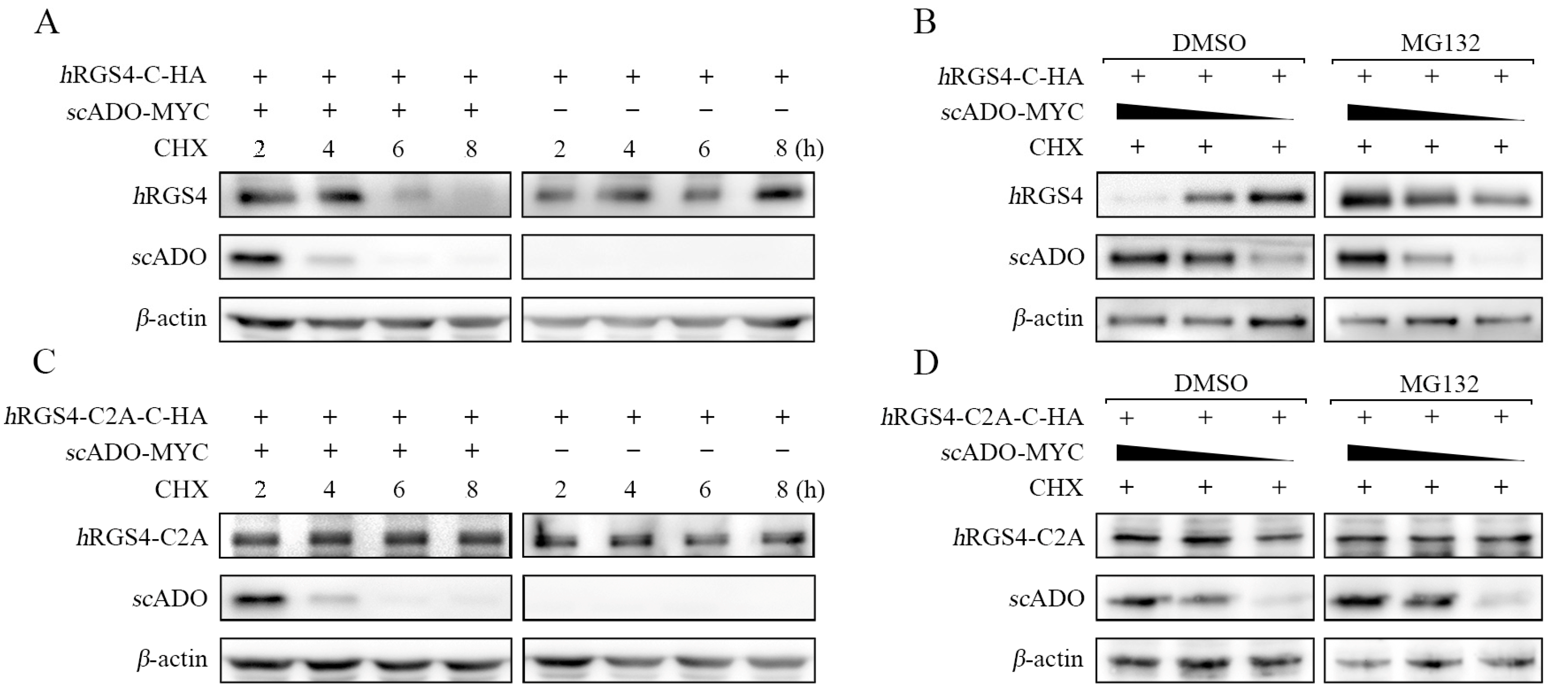 Viruses 15 01644 g003