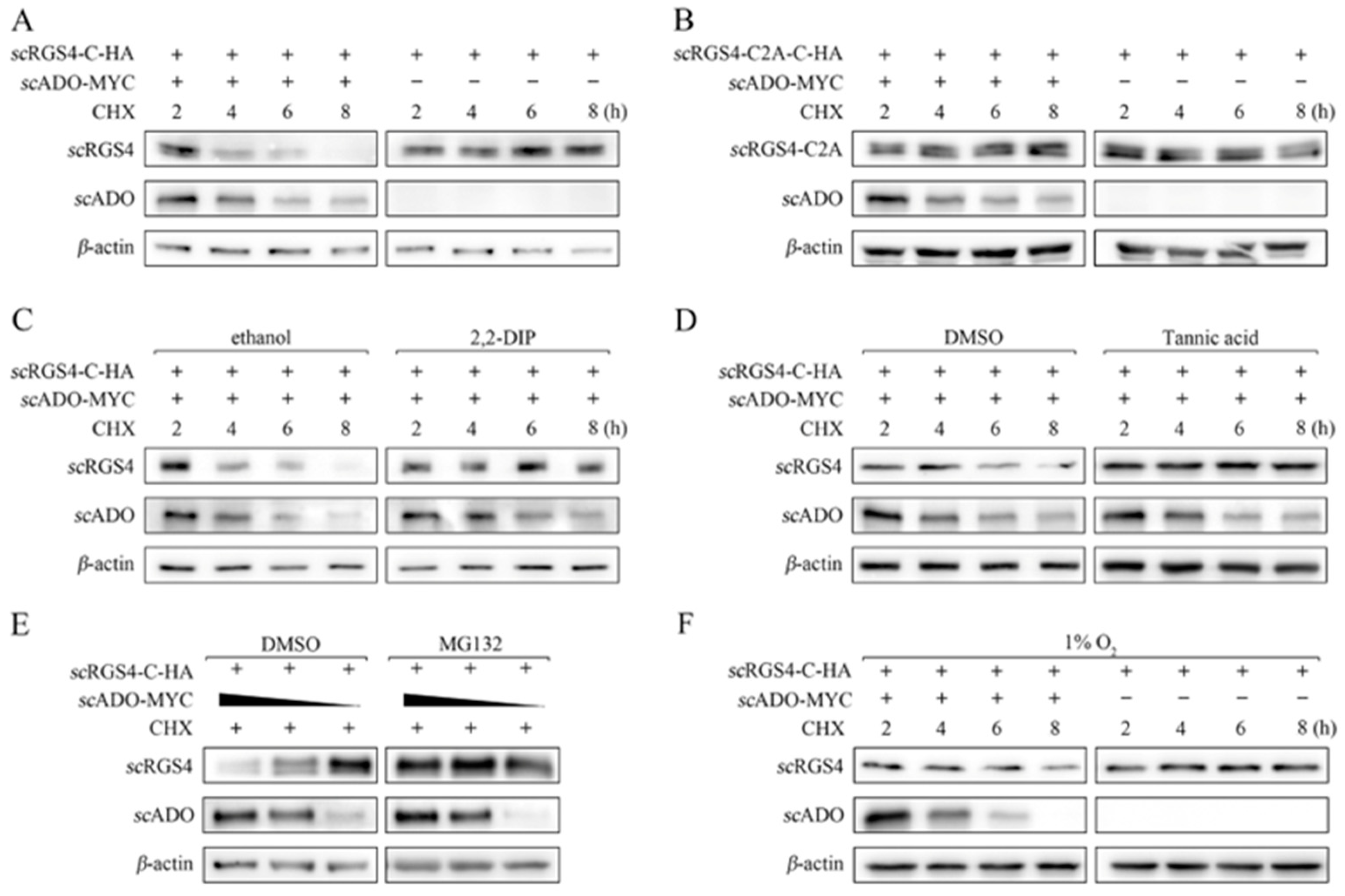 Viruses 15 01644 g004