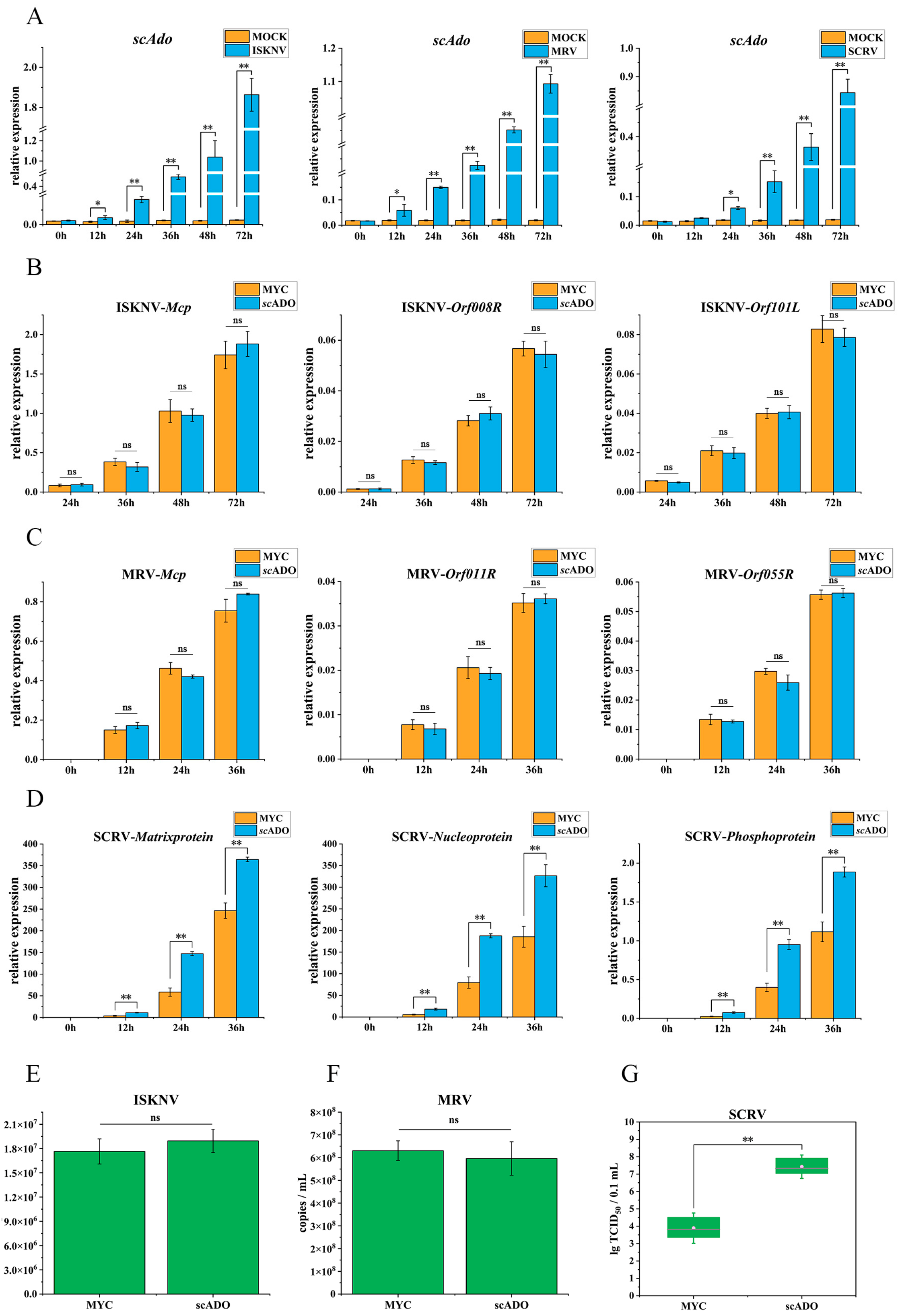 Viruses 15 01644 g005