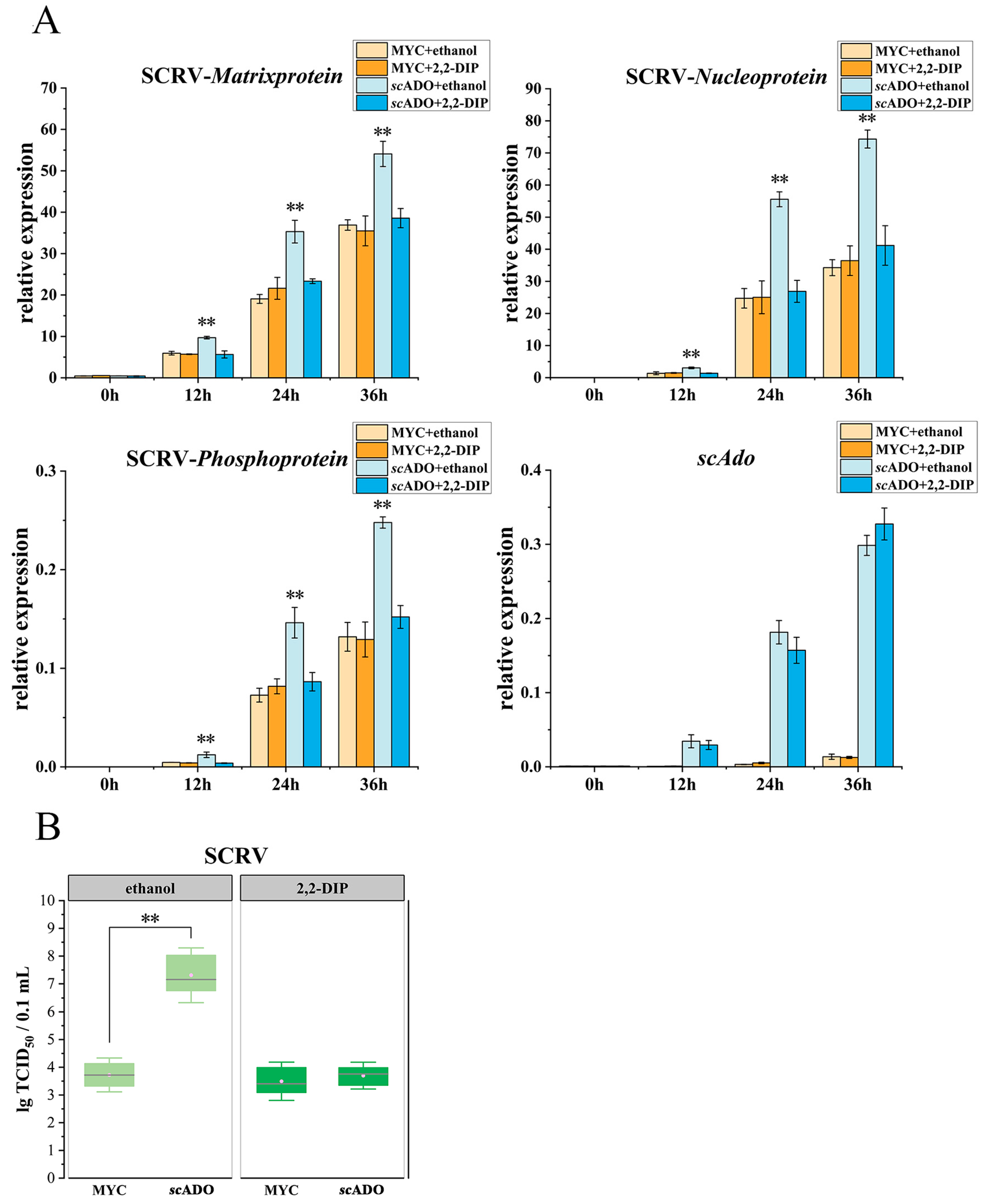 Viruses 15 01644 g006