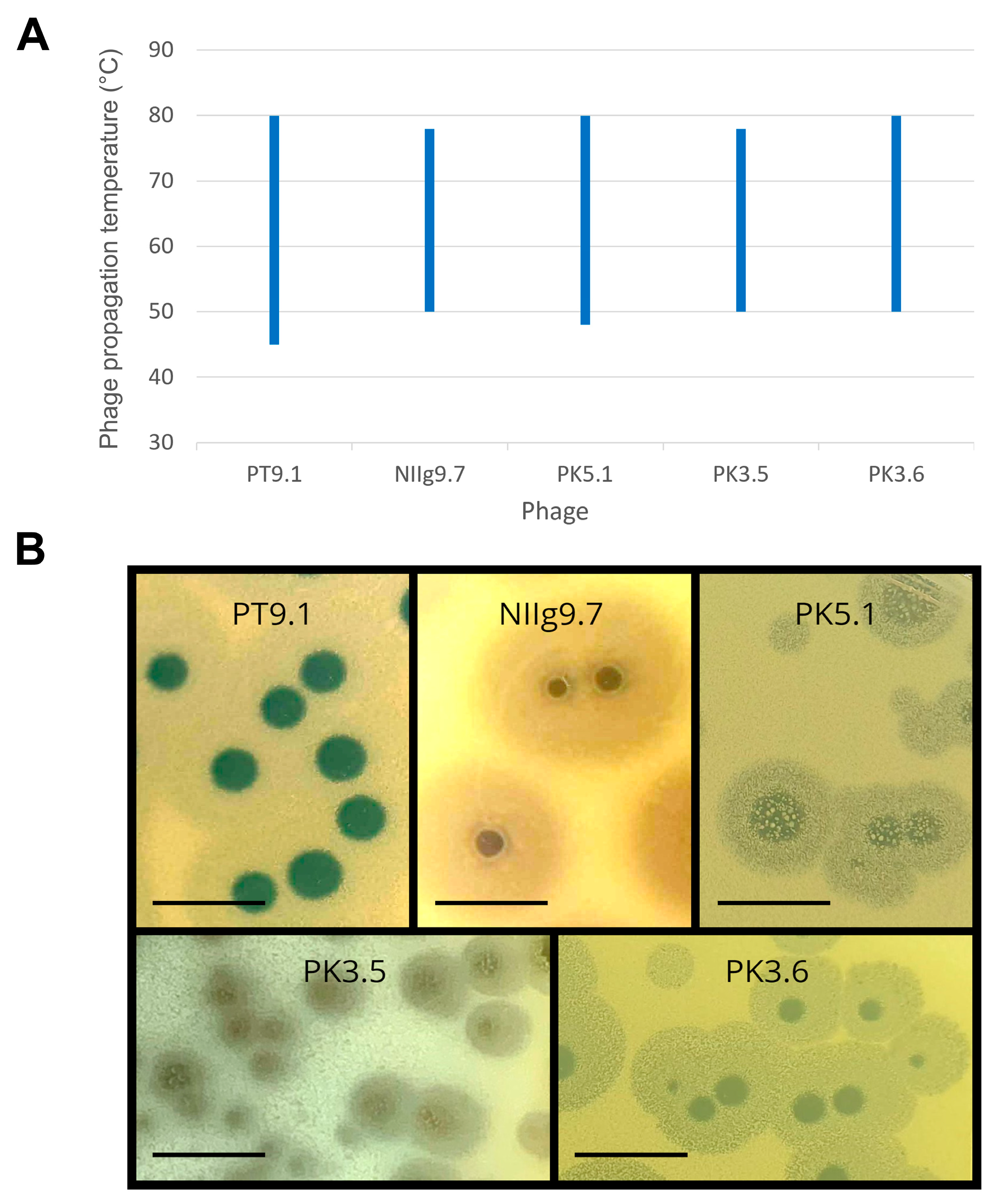 Viruses 15 01691 g003 Viruses 15 01691 g003