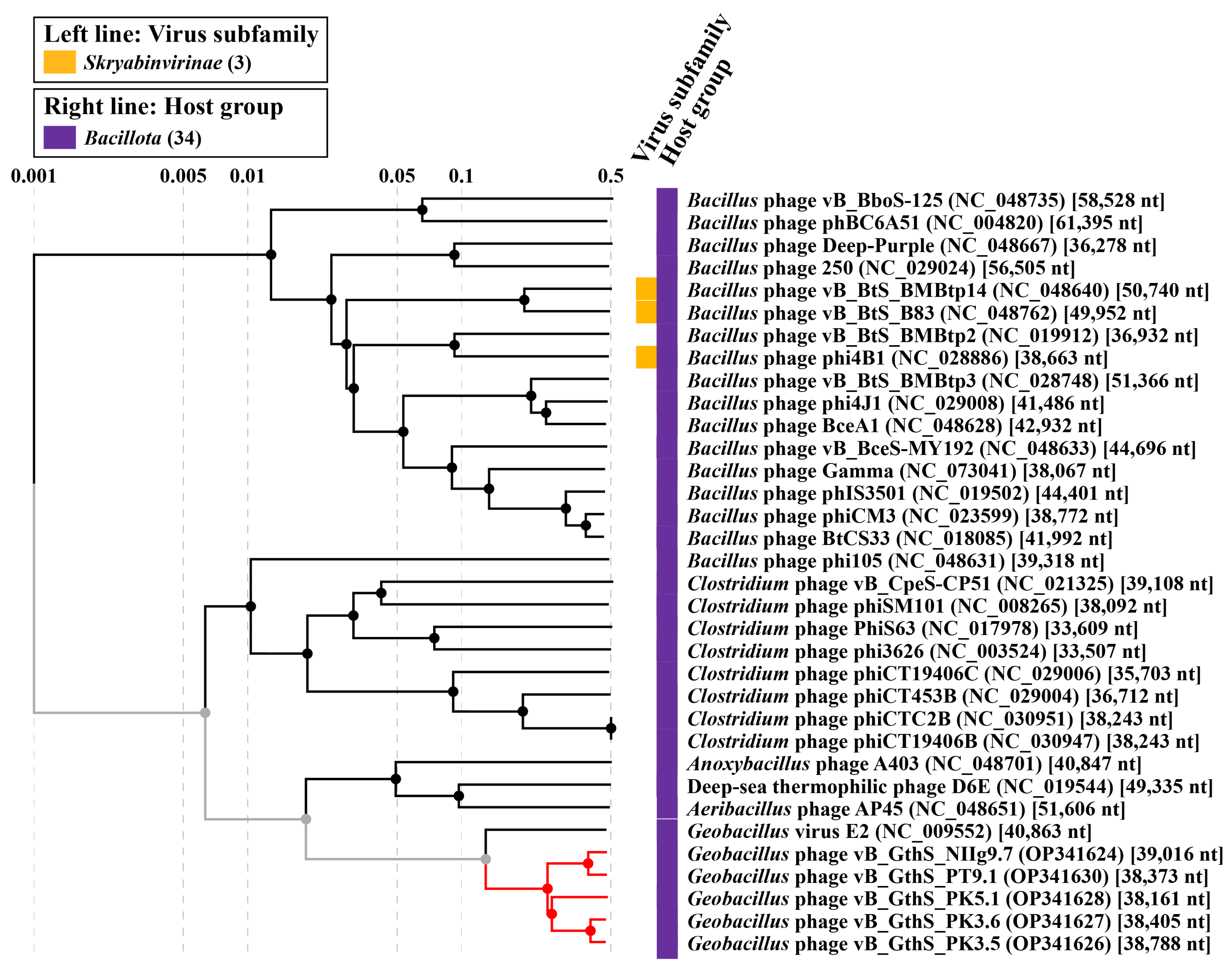 Viruses 15 01691 g006 Viruses 15 01691 g006