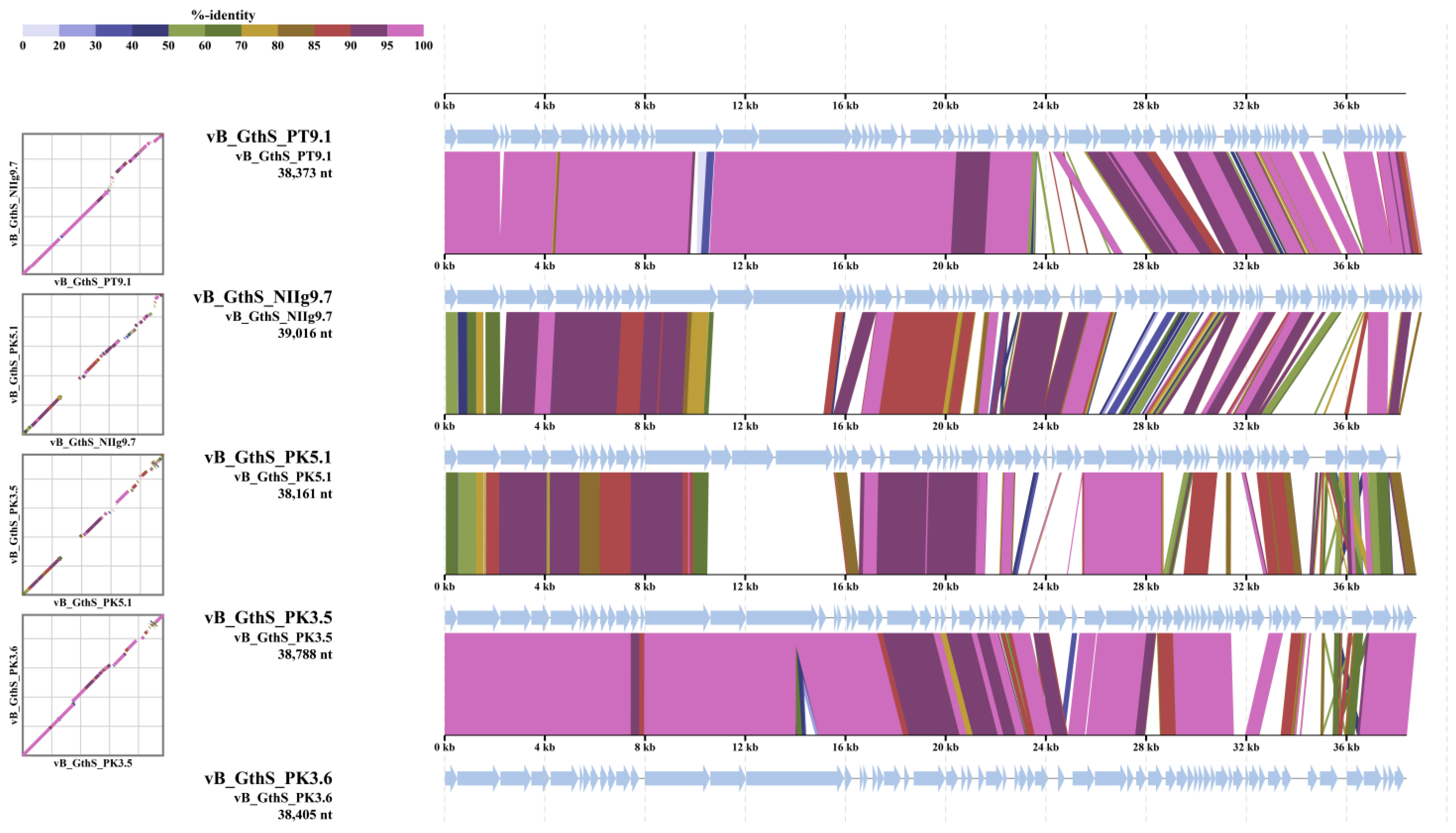 Viruses 15 01691 g007 Viruses 15 01691 g007