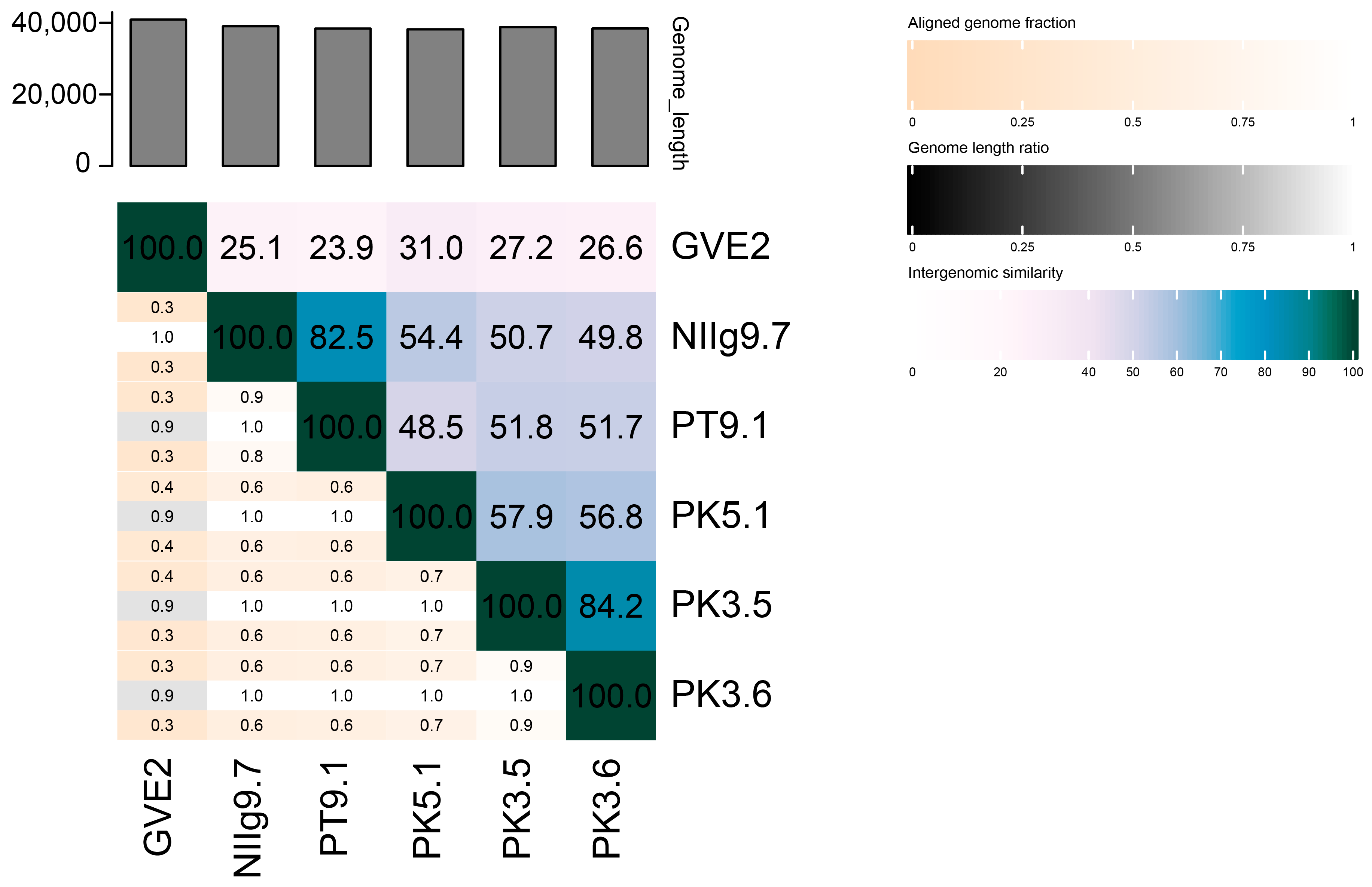 Viruses 15 01691 g008 Viruses 15 01691 g008