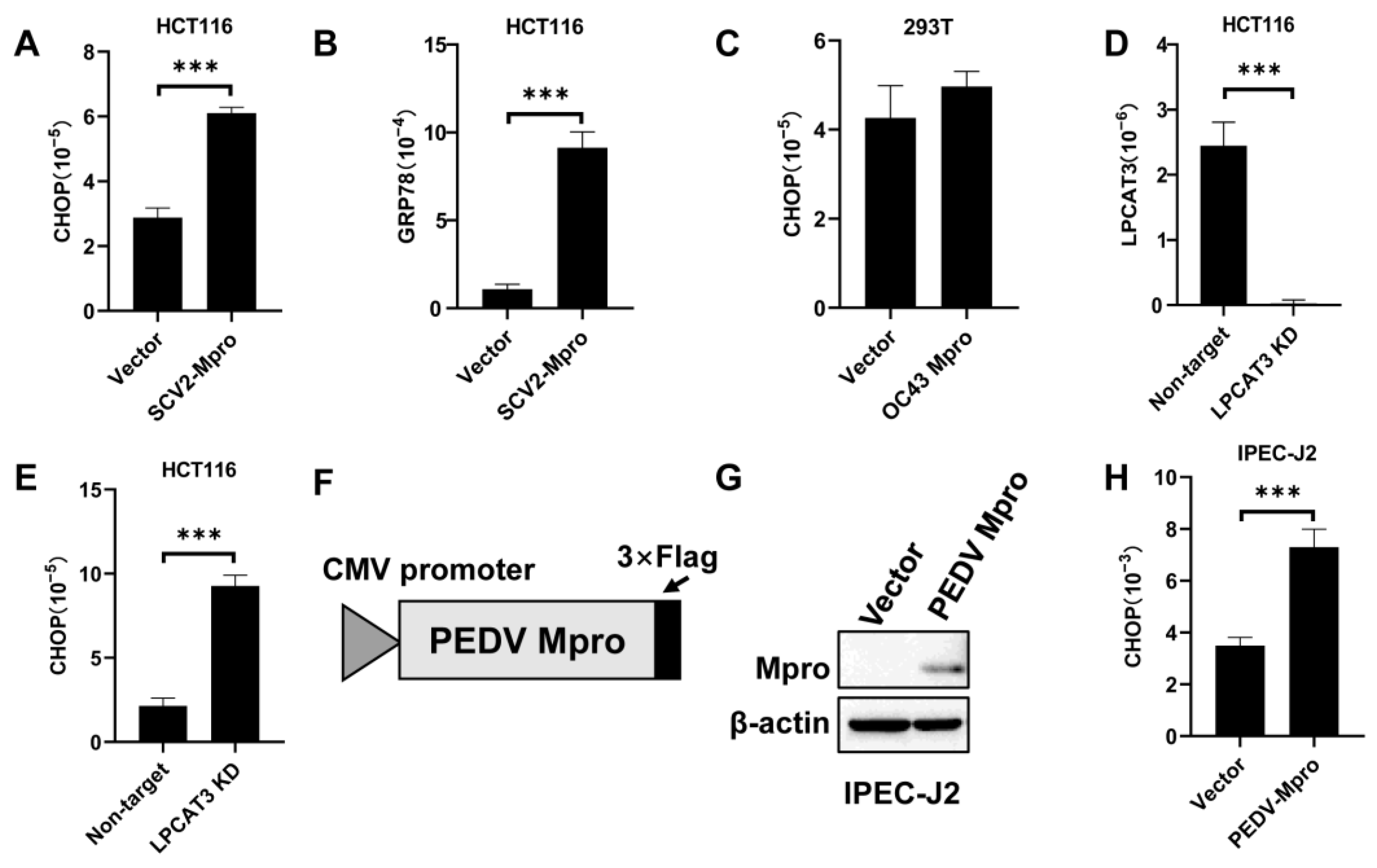 Viruses 15 01696 g005