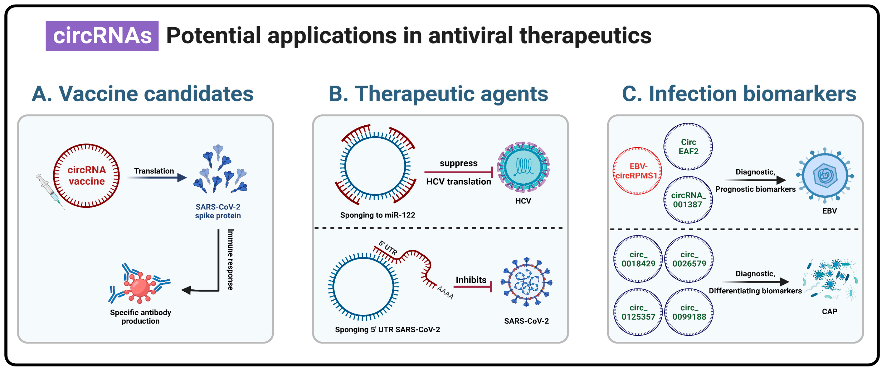 Viruses 15 01697 g002