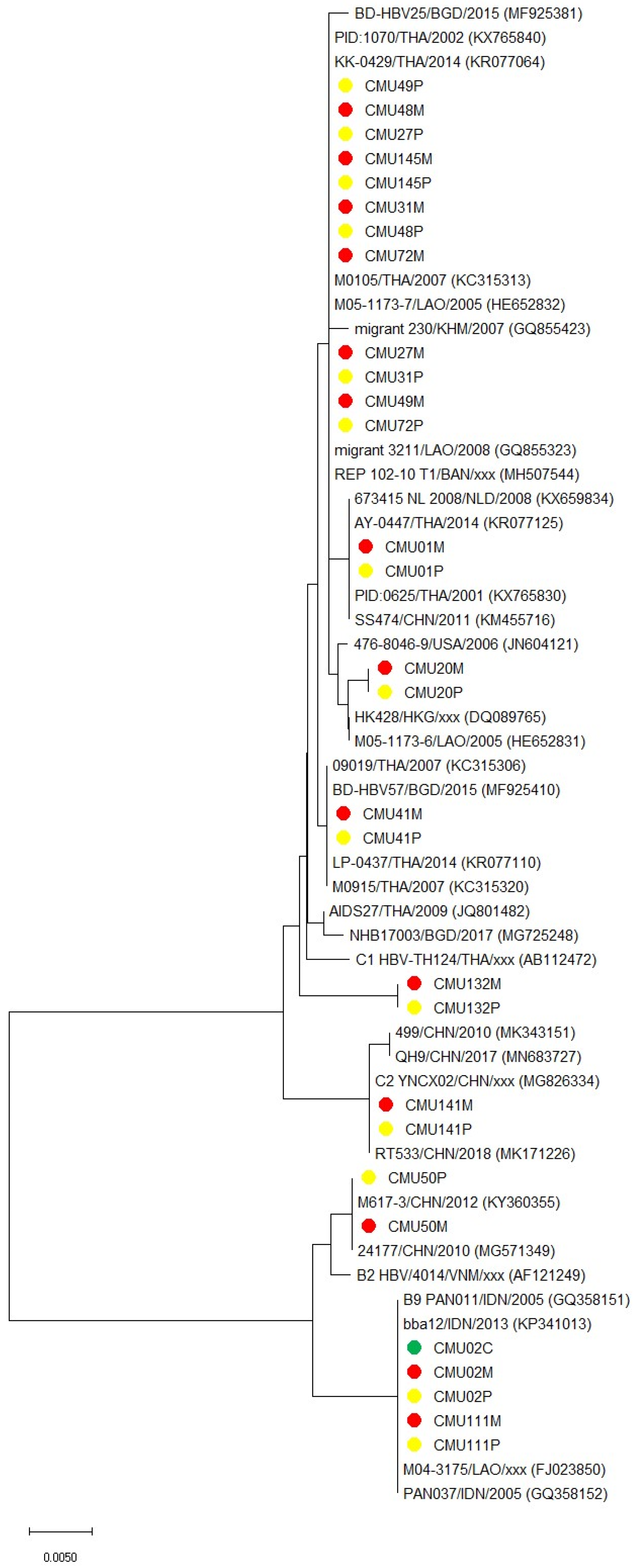 Viruses 15 01729 g001 Viruses 15 01729 g001