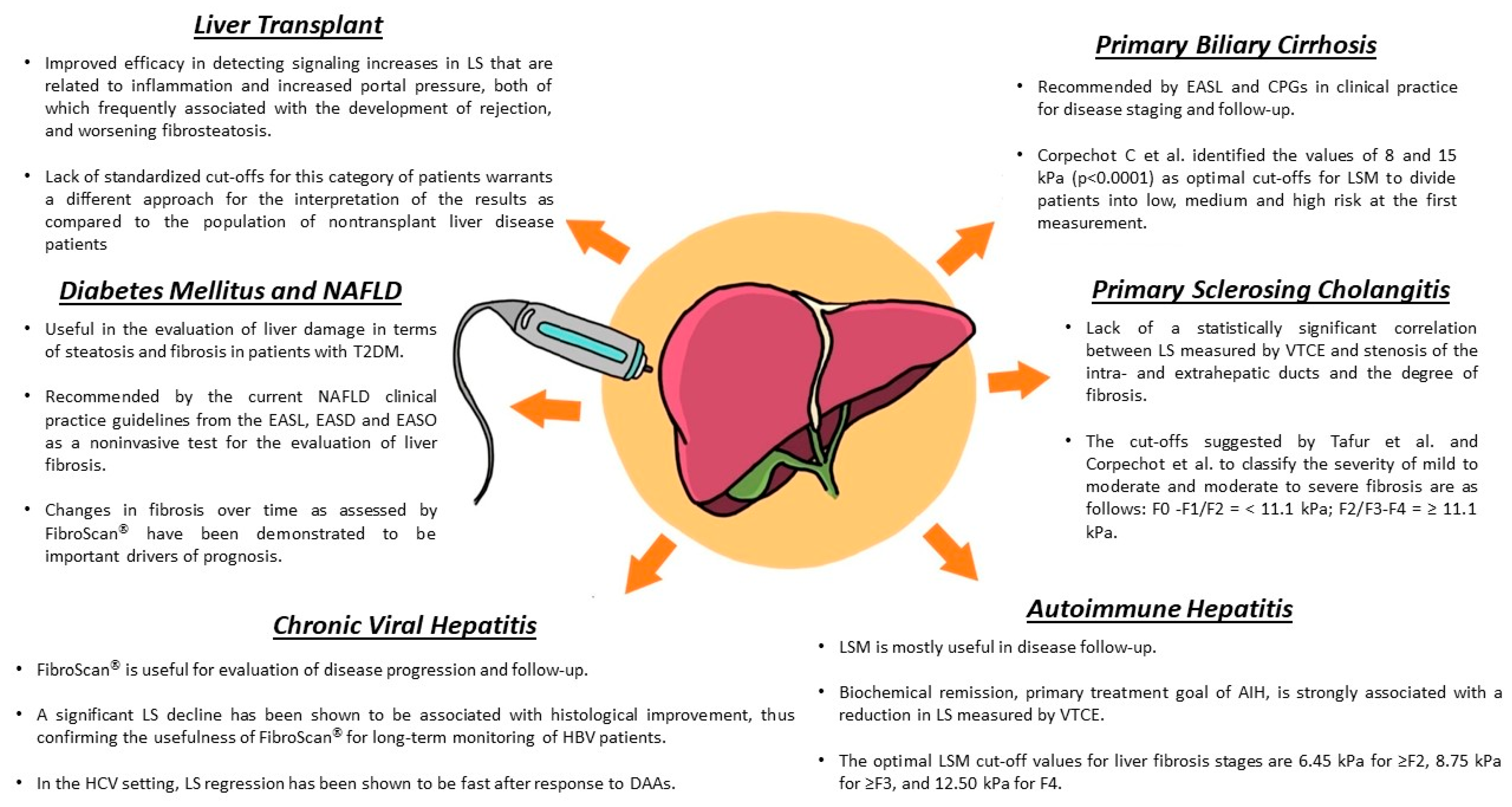 Viruses Free Full Text Non Invasive Measurement of Hepatic