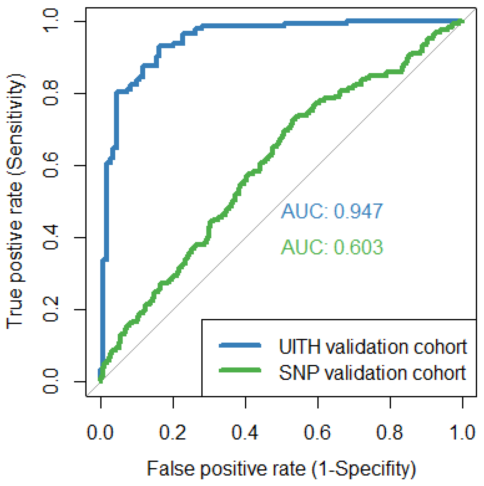 Viruses 15 01735 g001