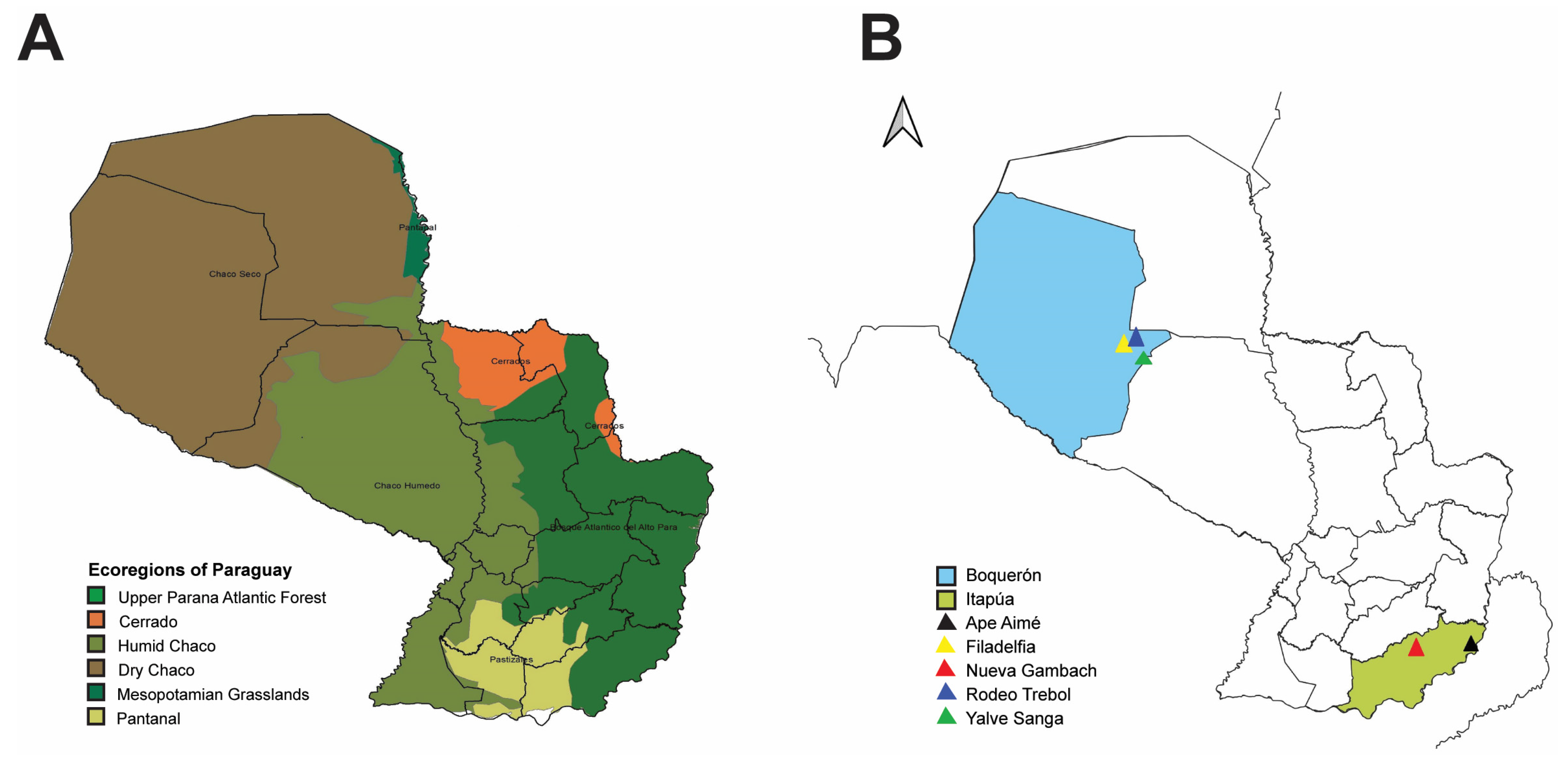 Viruses Free Full Text Deep Sequencing to Reveal Phylo