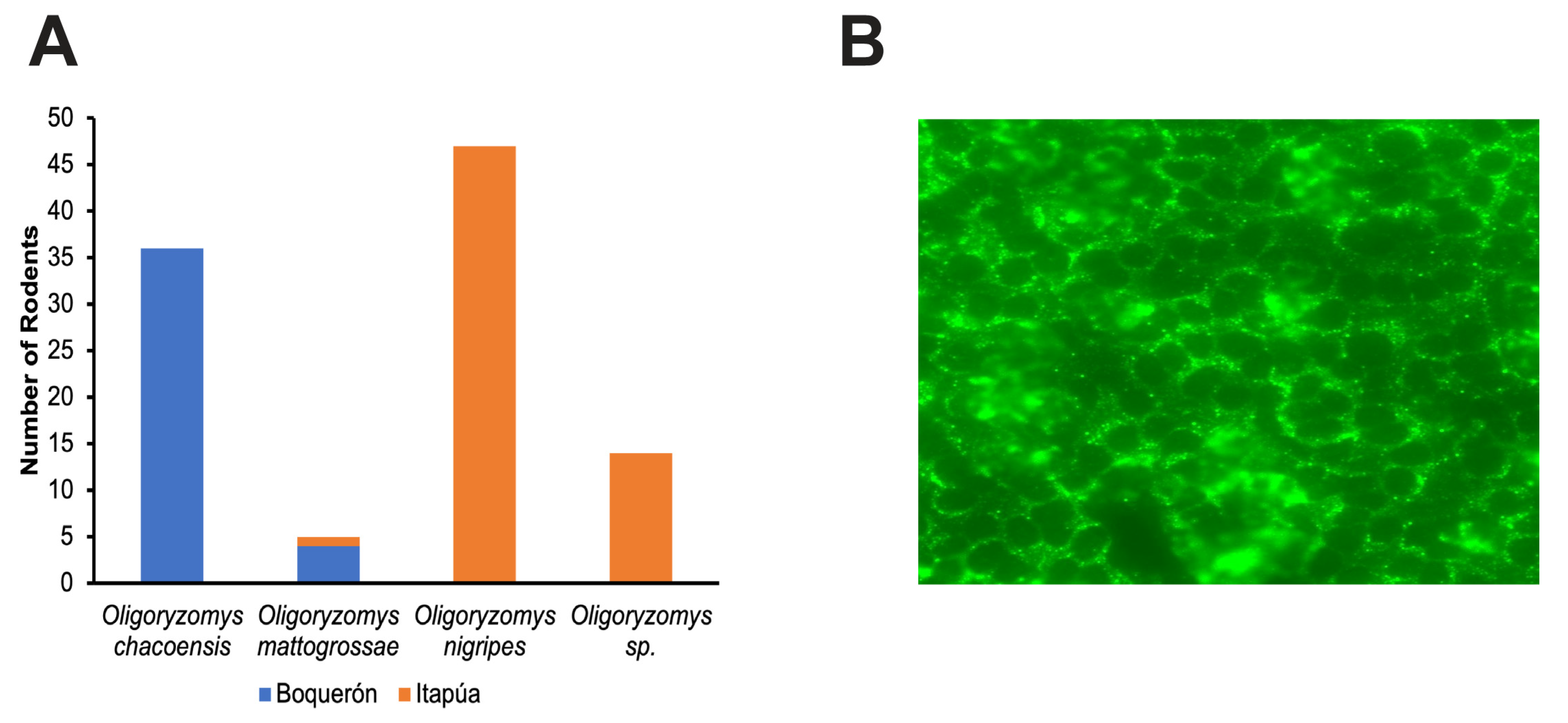 Viruses 15 01798 g002
