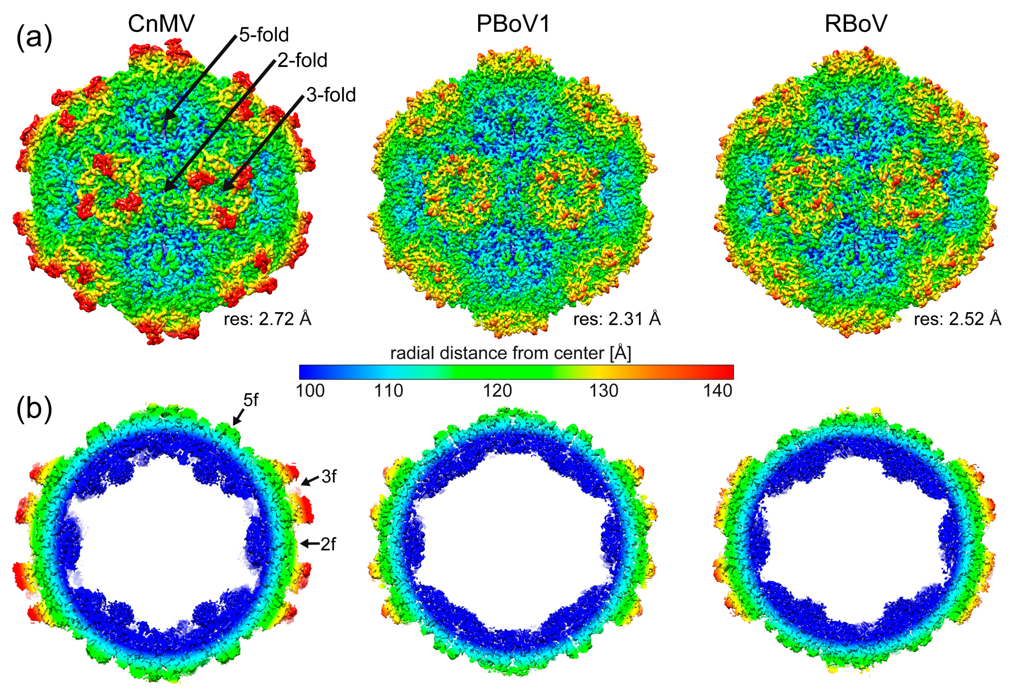 Viruses 15 01799 g002