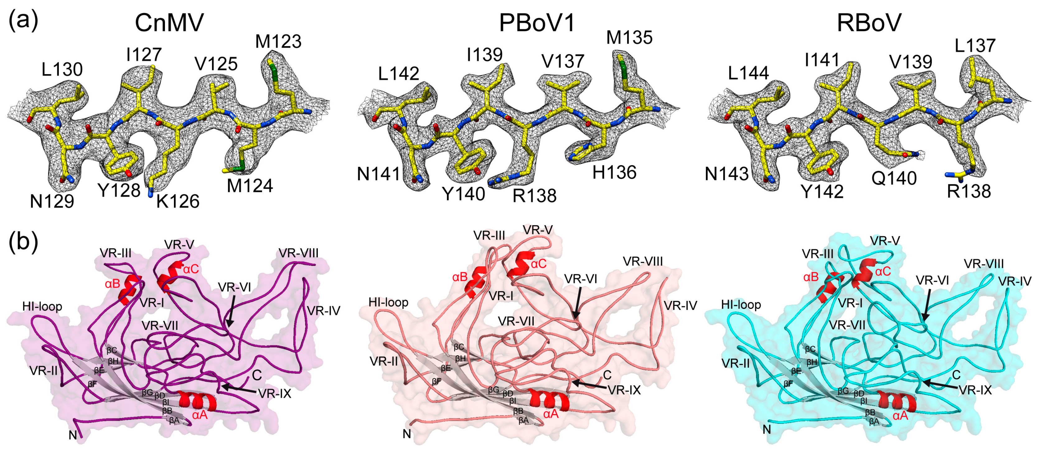 Viruses 15 01799 g003