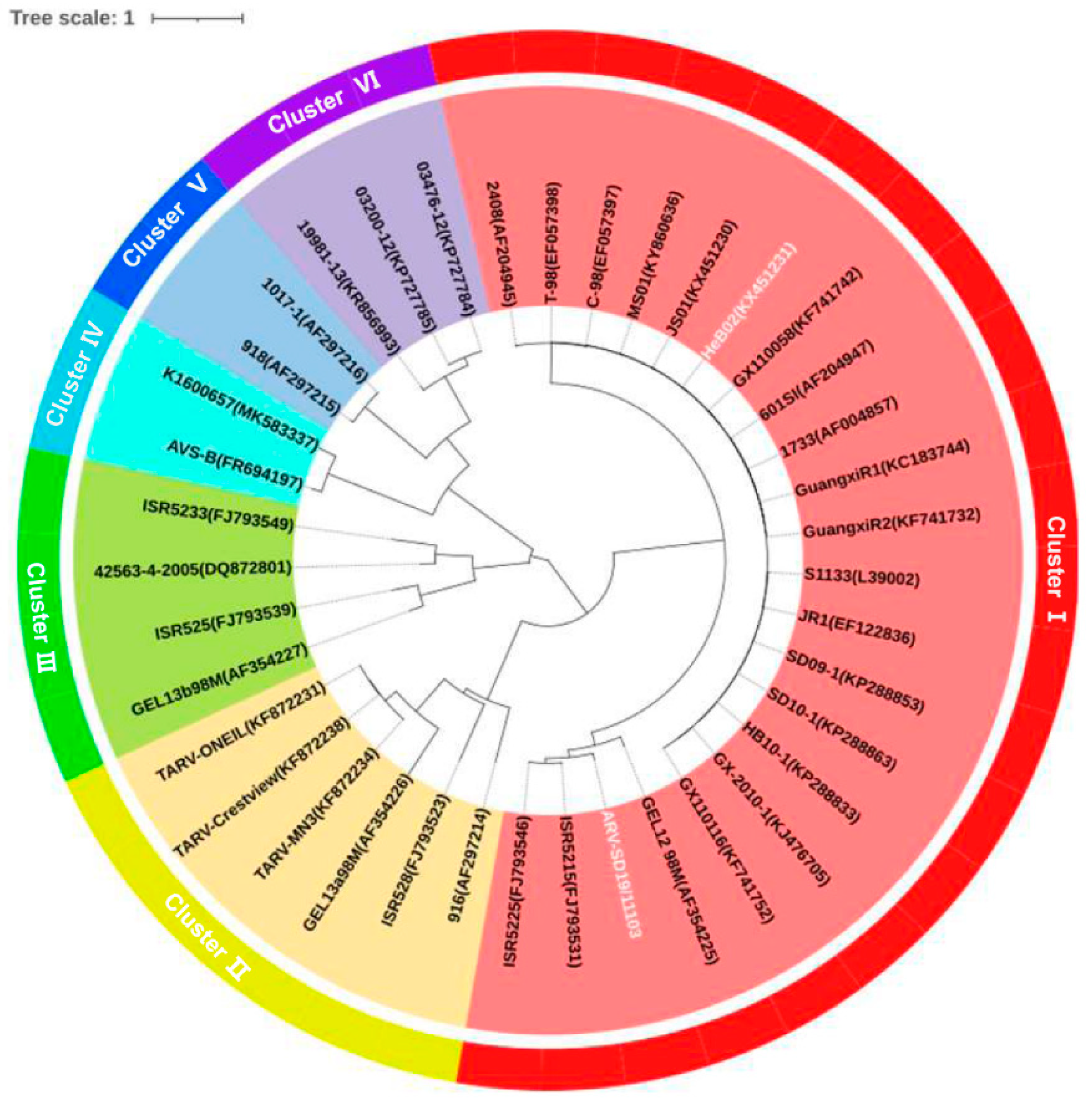 Viruses 15 01800 g003 Viruses 15 01800 g003