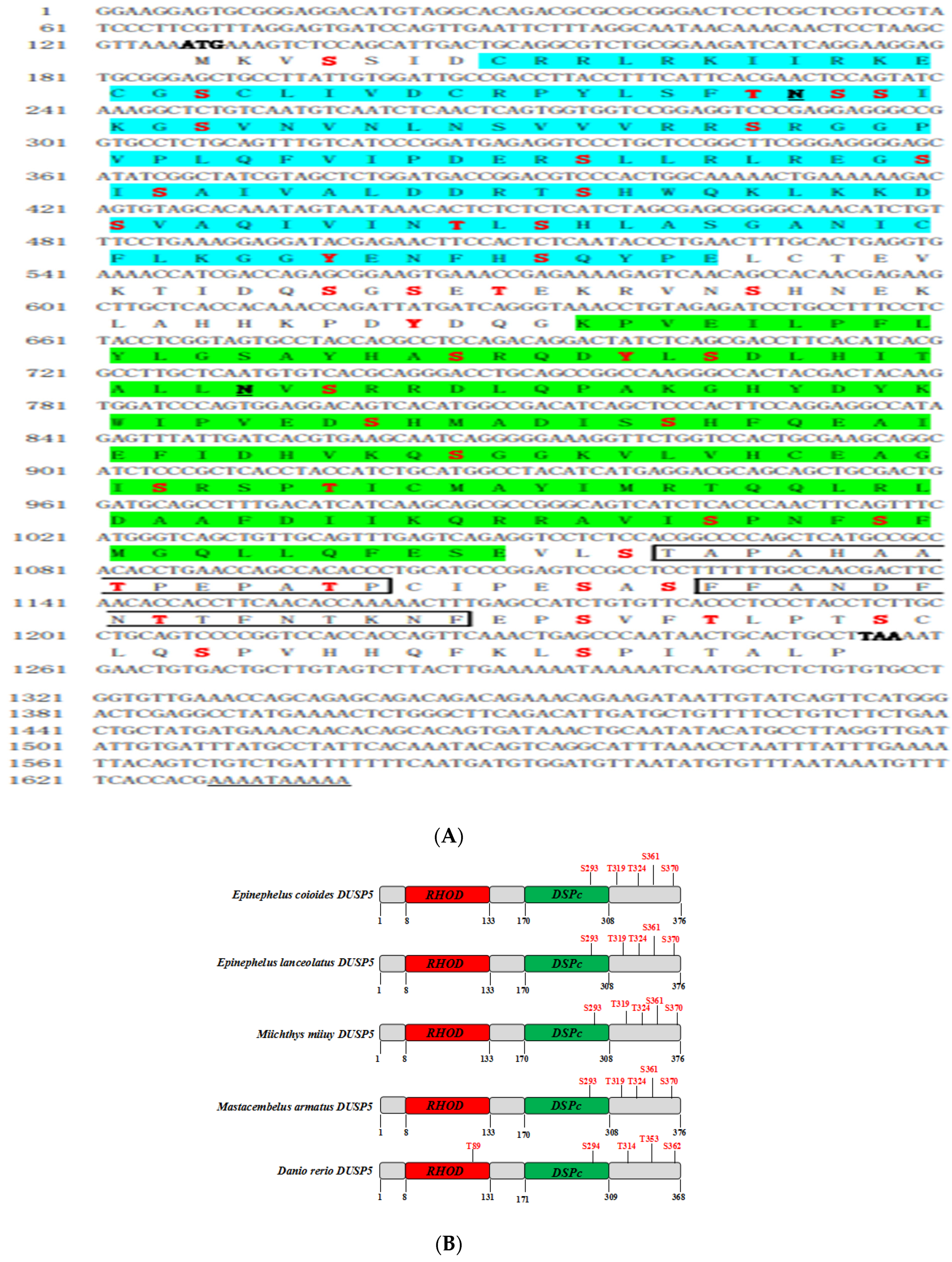Viruses 15 01807 g001a