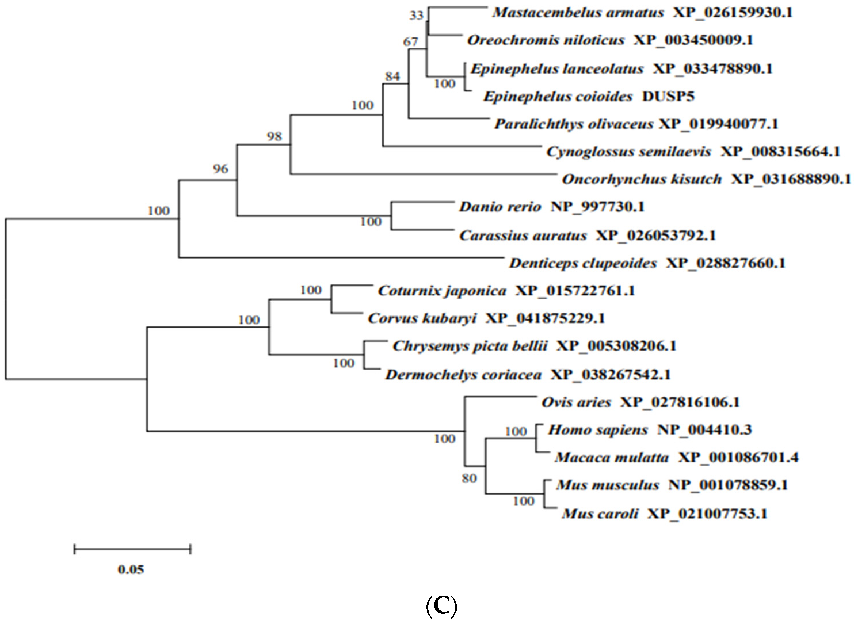 Viruses 15 01807 g001b