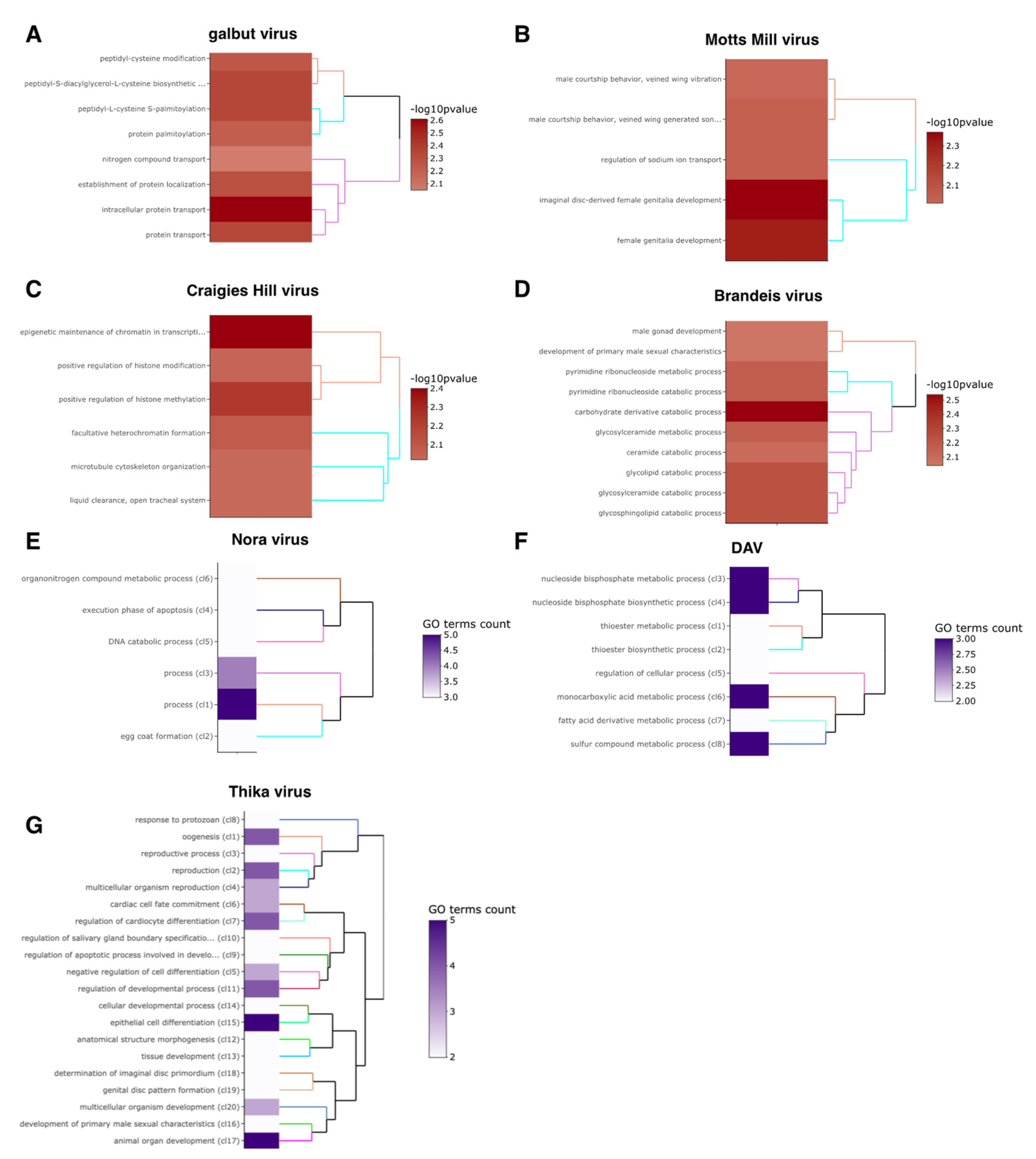 Viruses 15 01849 g005
