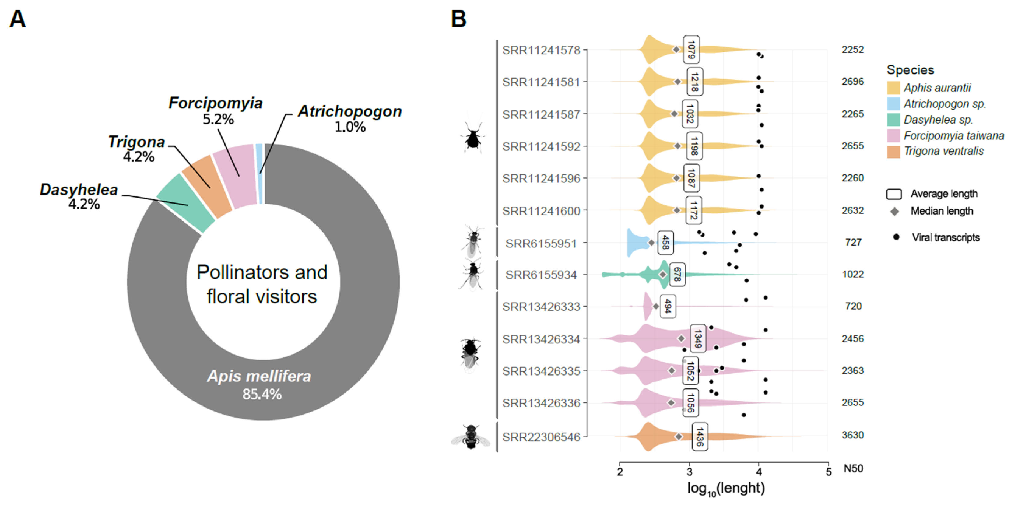 Viruses 15 01850 g001